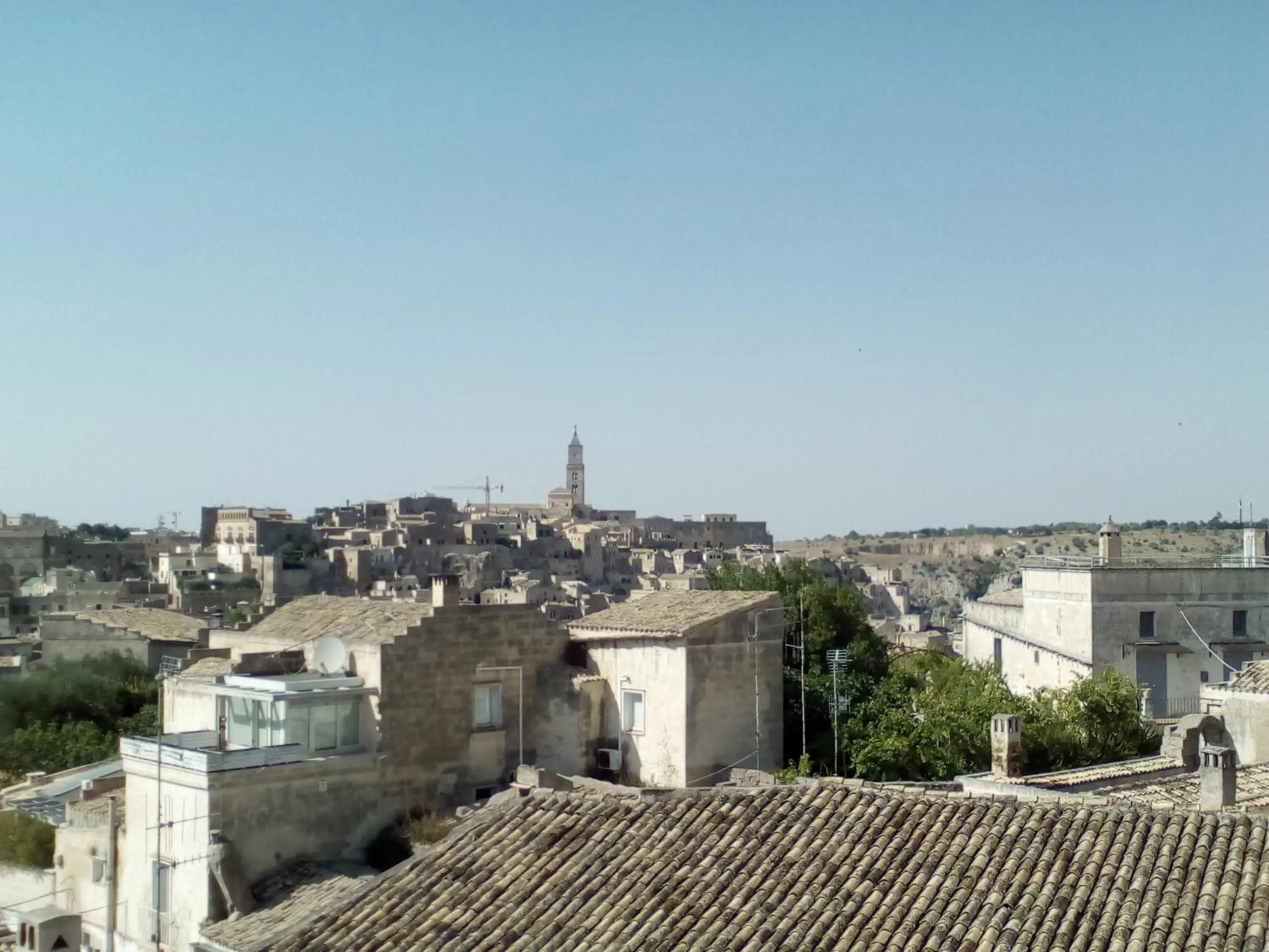 Bird's eye view in Sister's love