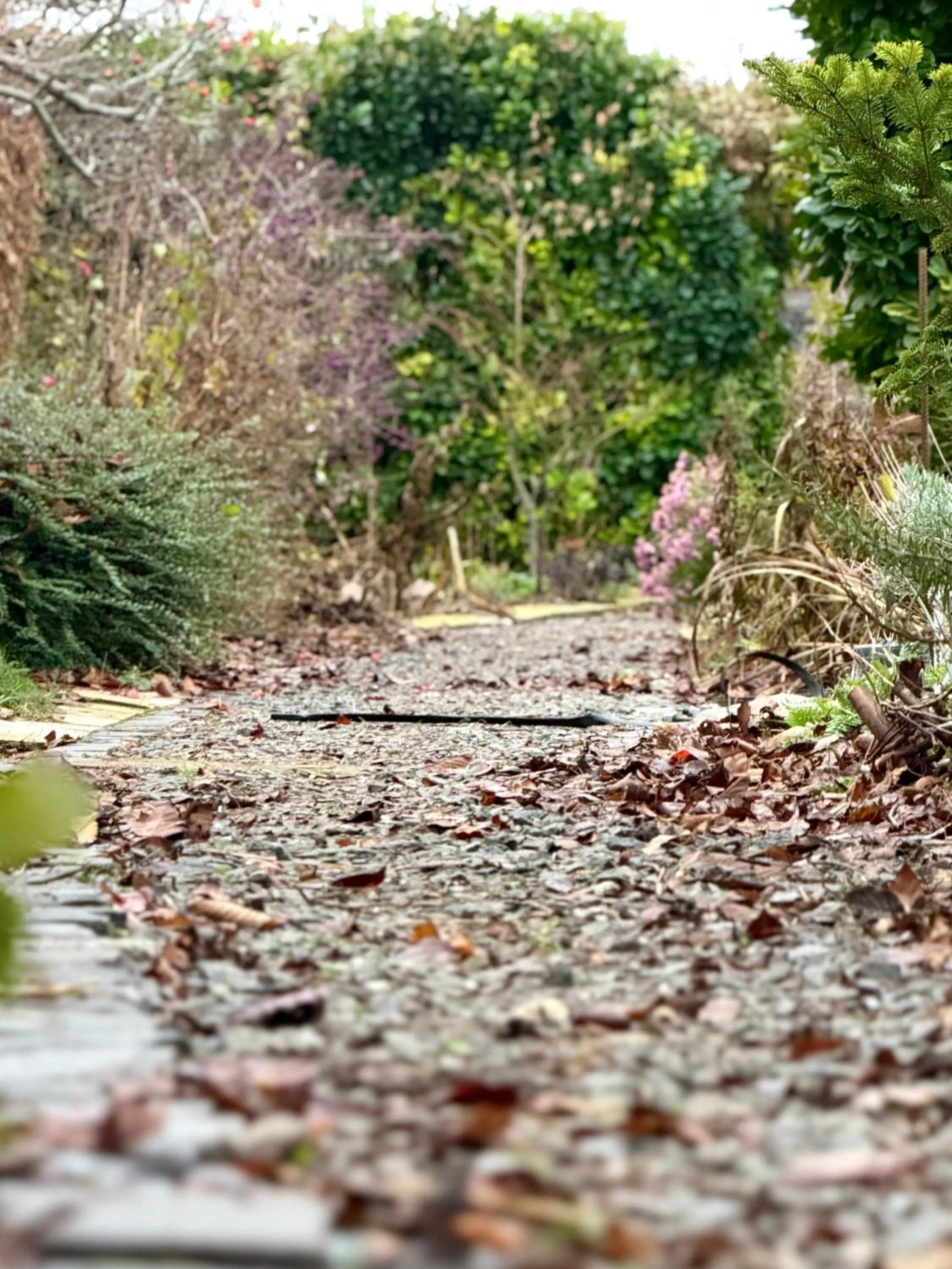 Natural landscape in Ubytovanie u martina