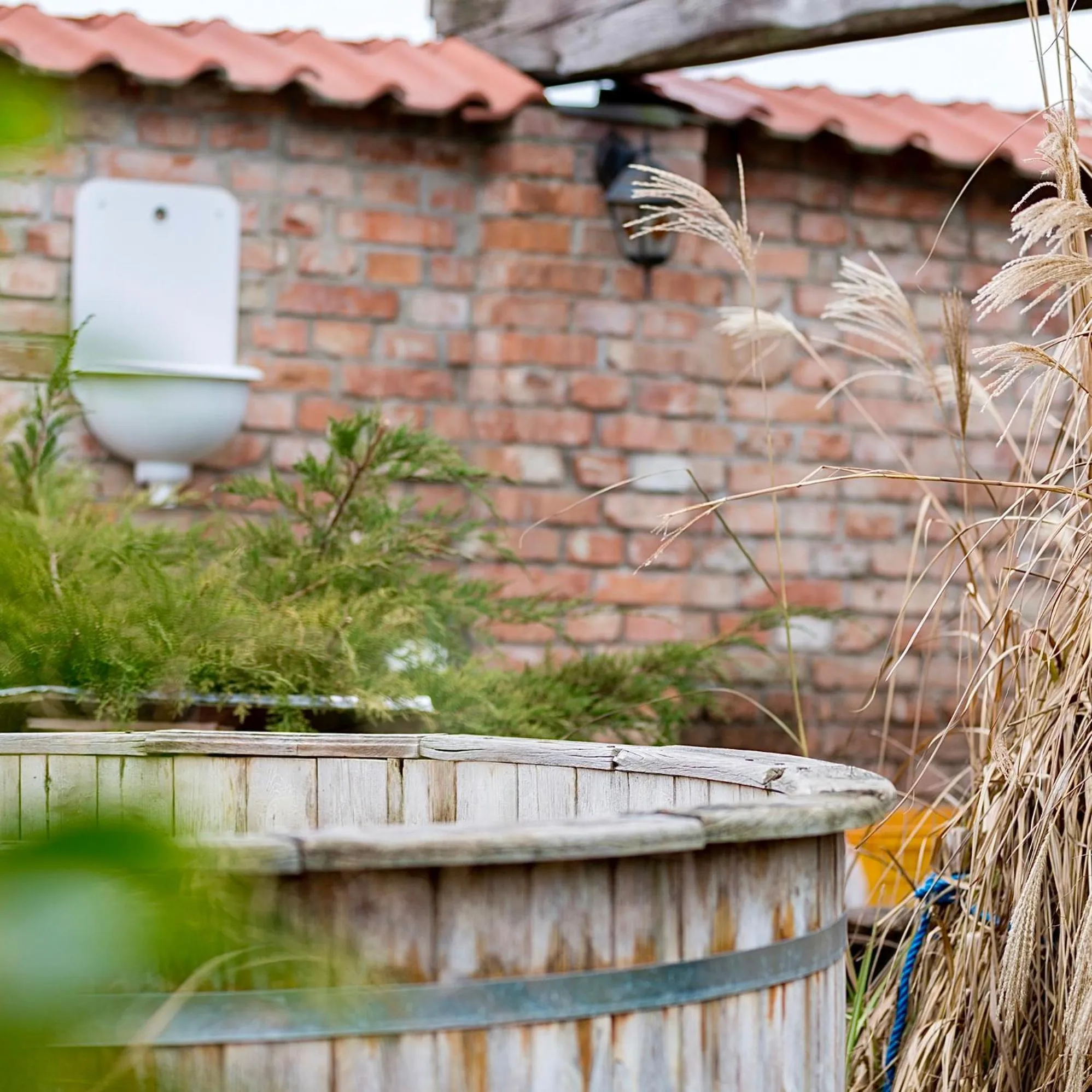 Garden in Ubytovanie u martina