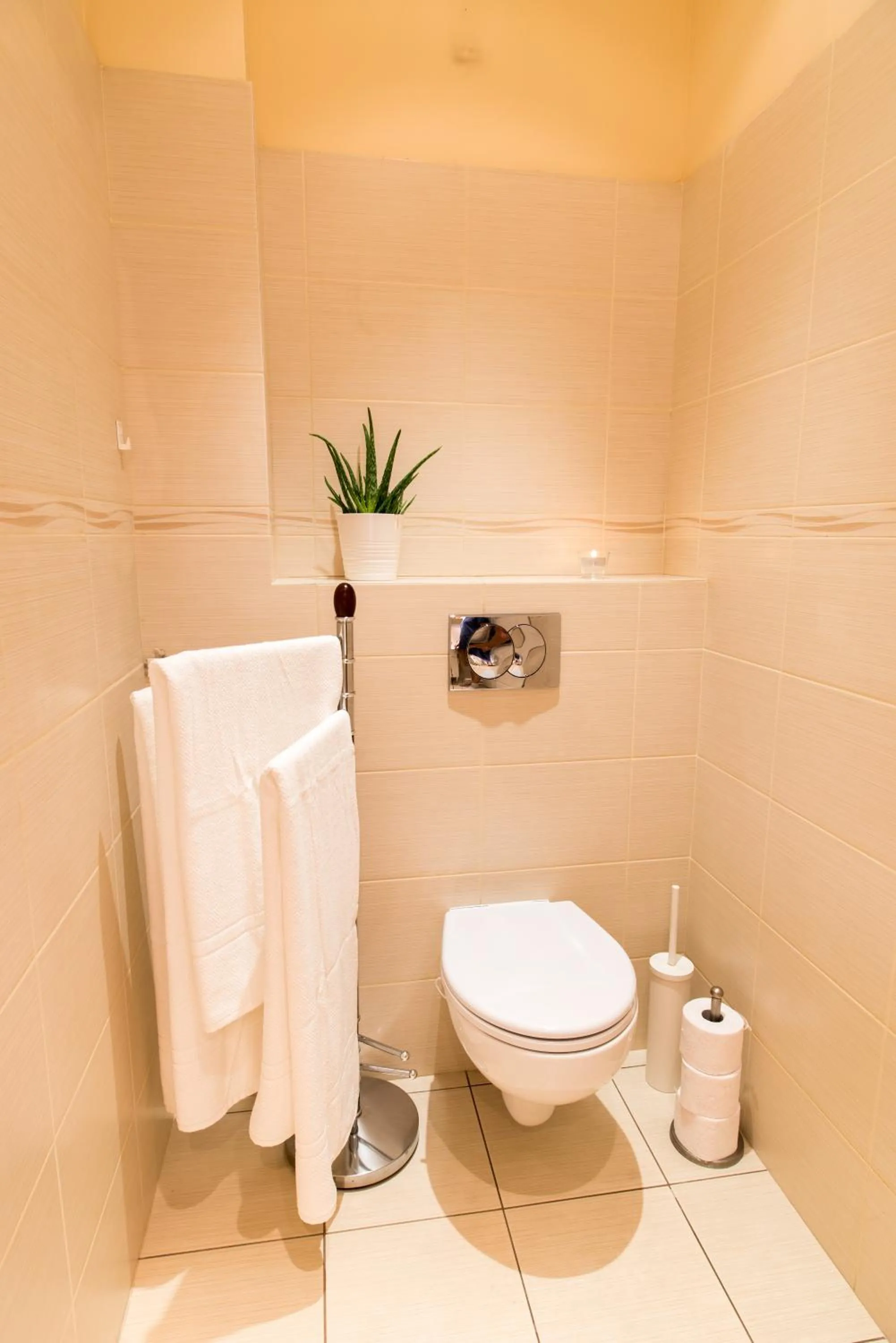 Shower in Trip Apartments