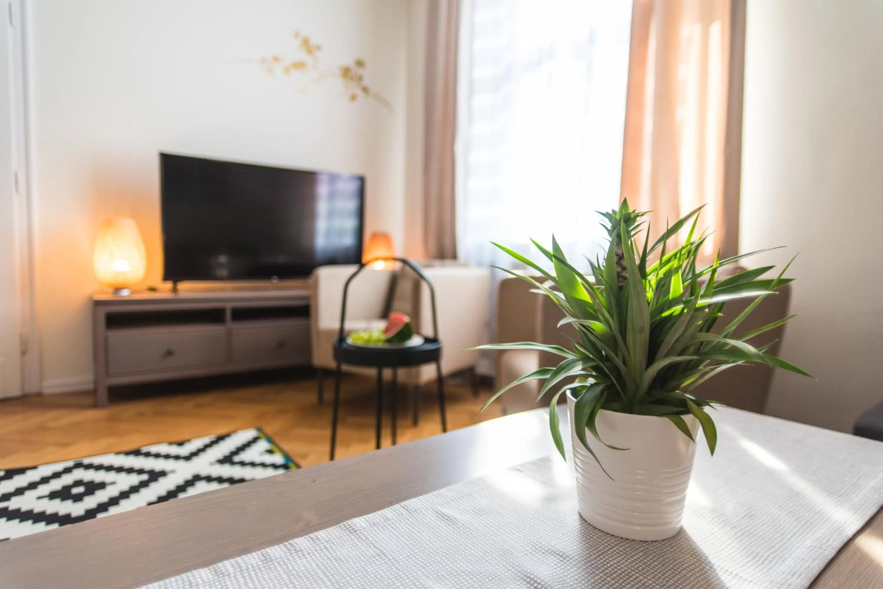 Living room in Trip Apartments
