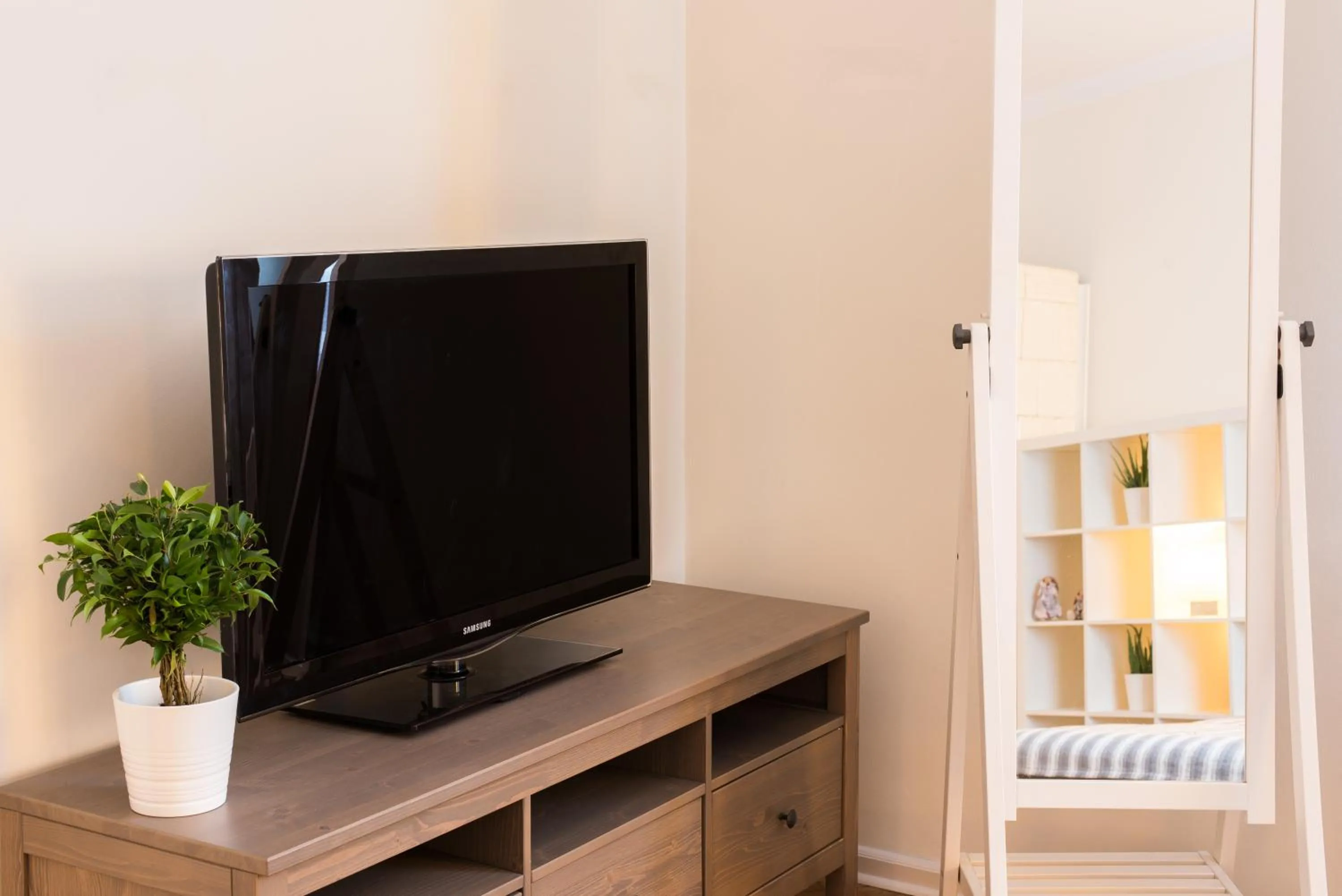 TV and multimedia in Trip Apartments