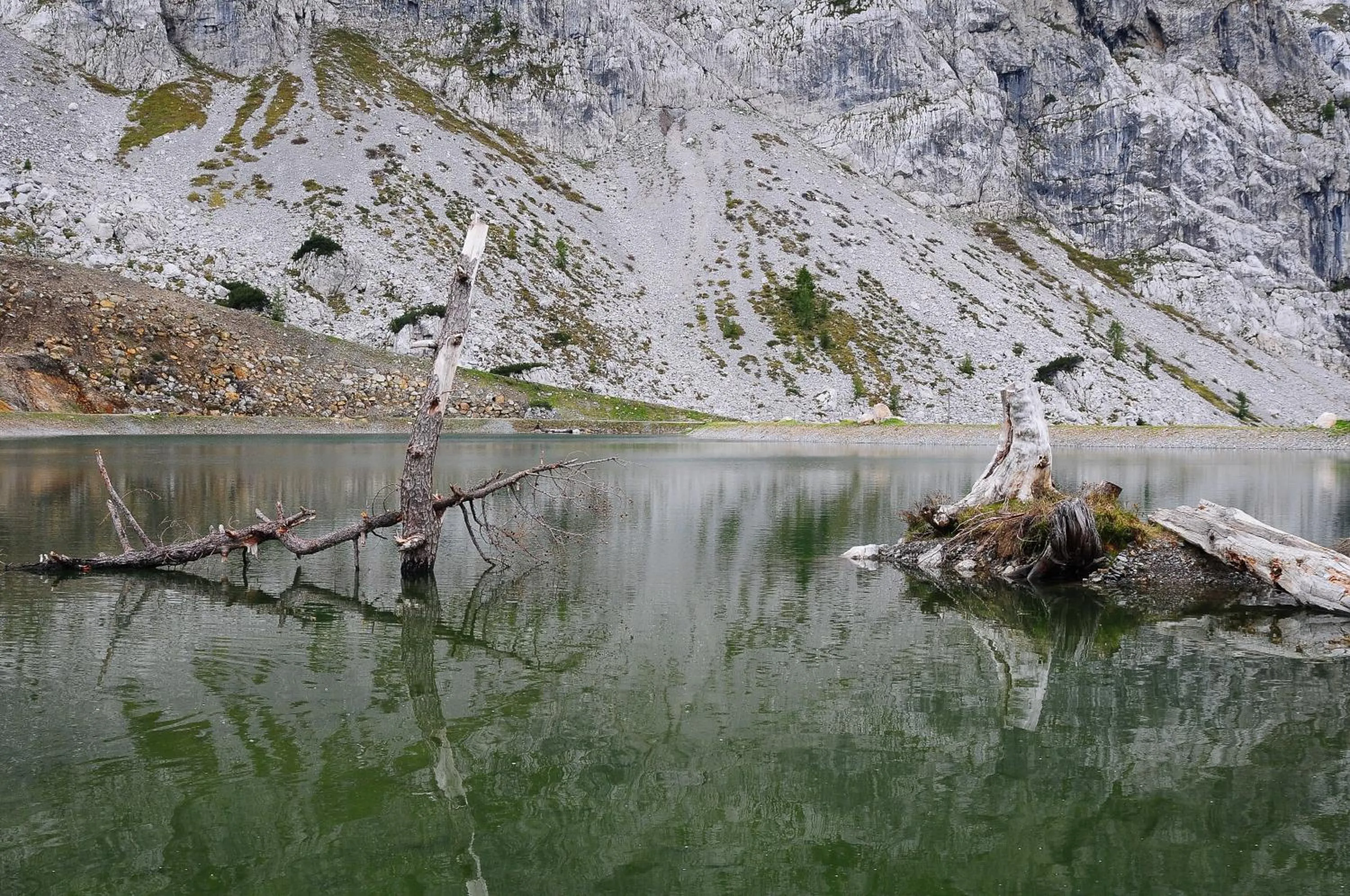 Spring in Alpenhäuser Marcius