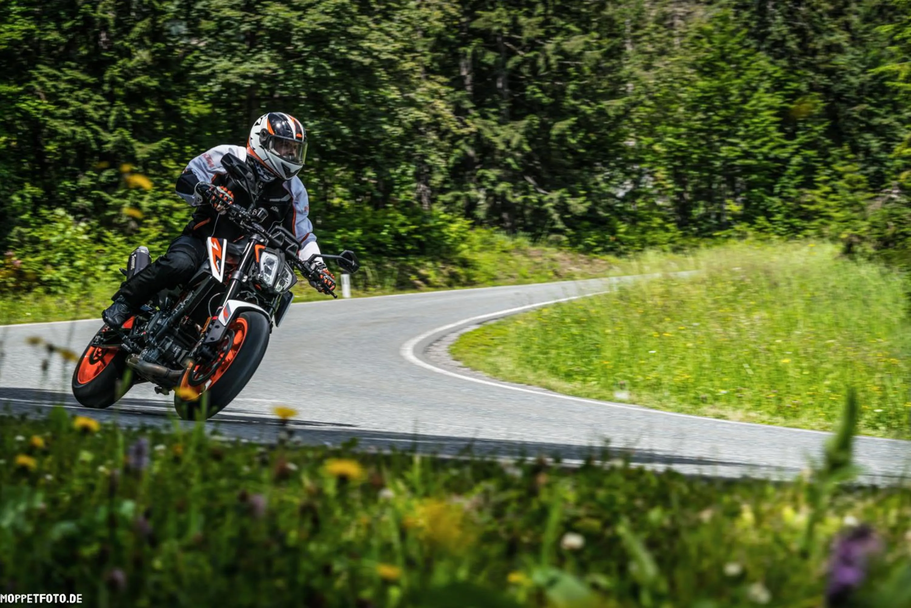 Natural landscape in Hotel-Restaurant Bike&Snow Lederer