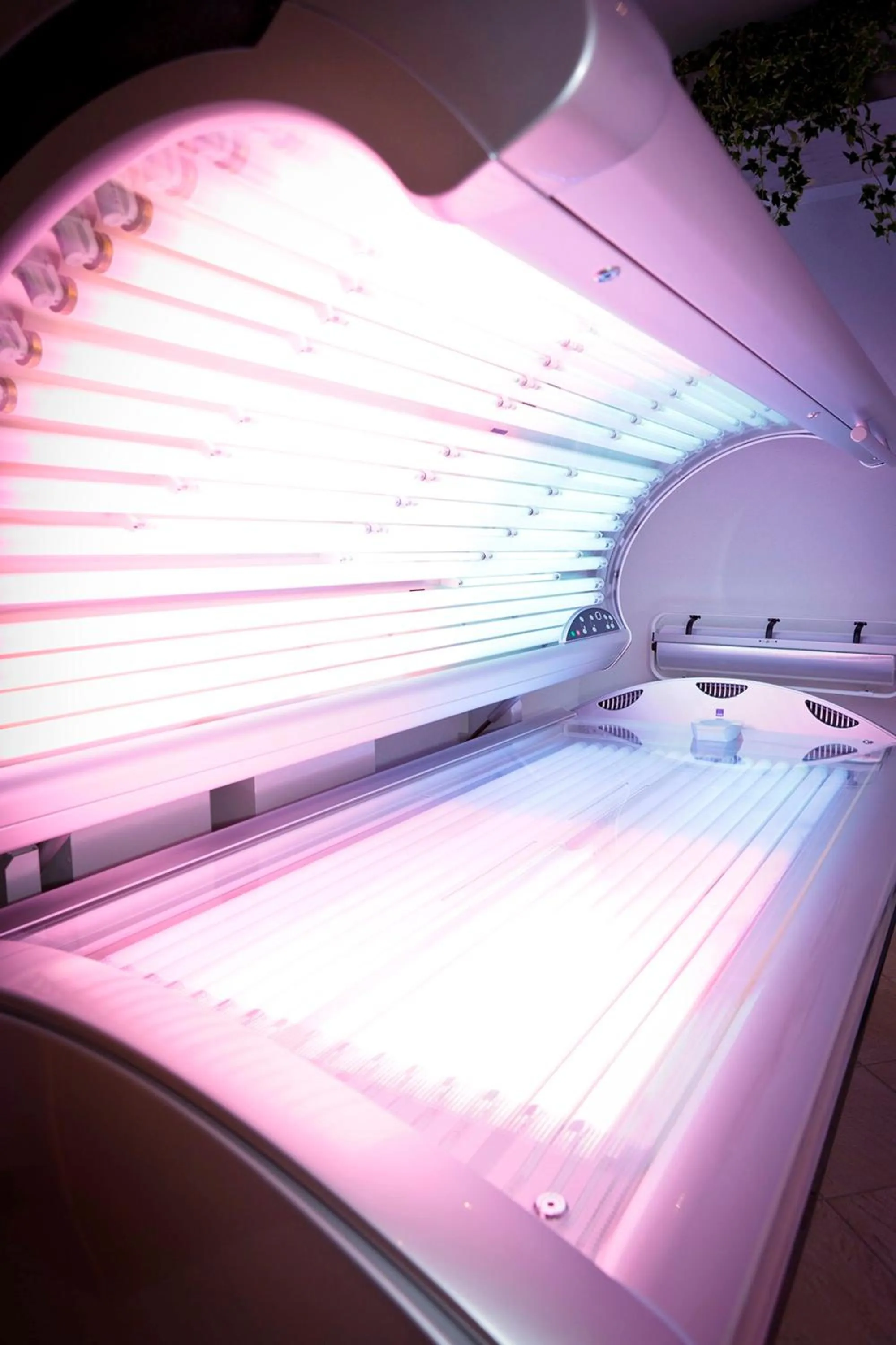 Solarium in Alpen Boutique Hotel Alpetta