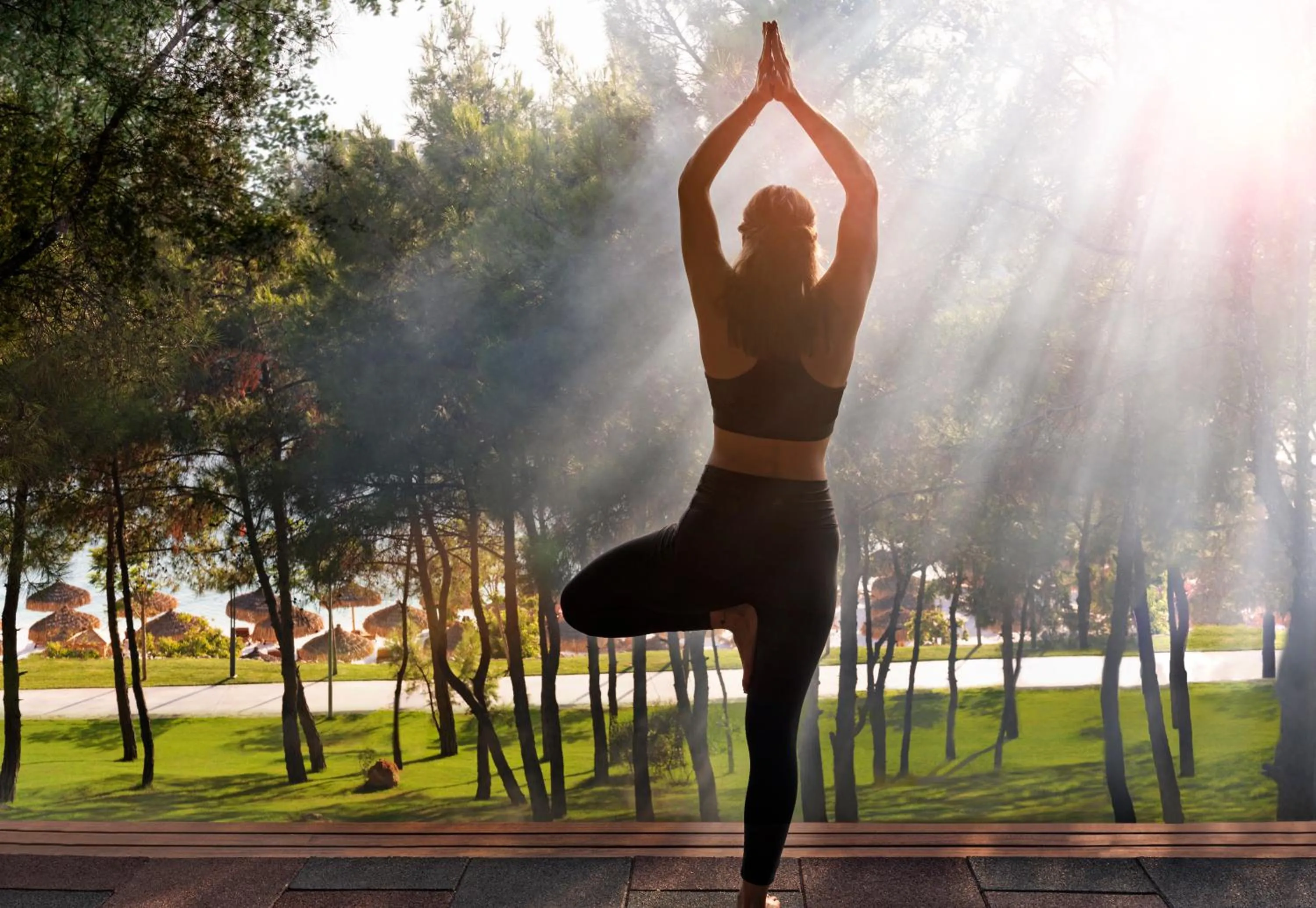 Activities in Lujo Hotel Bodrum