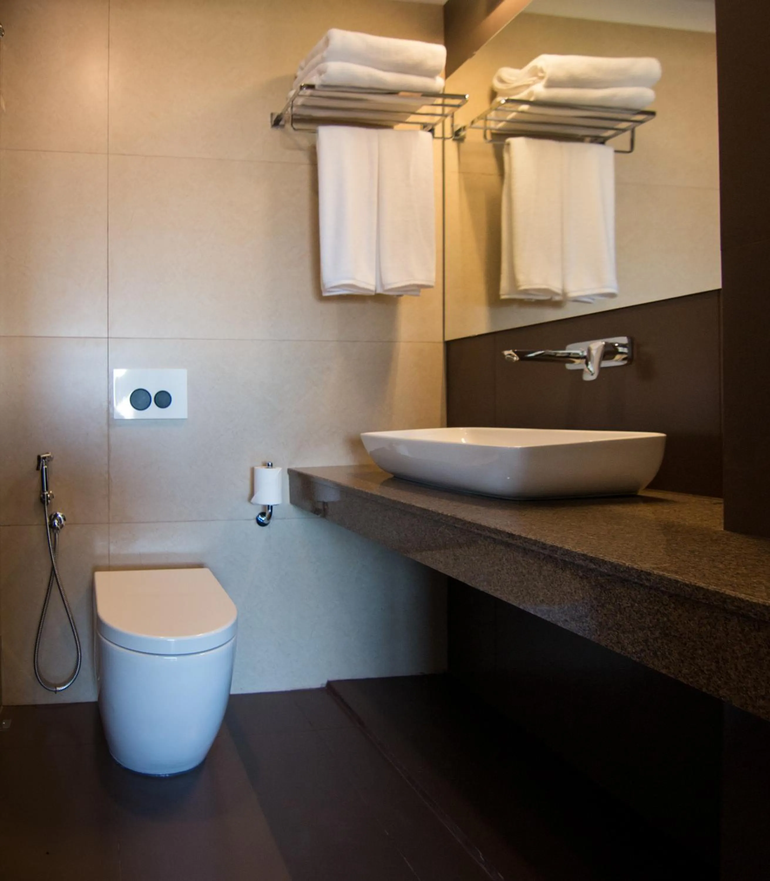 Toilet in Rococo Residence