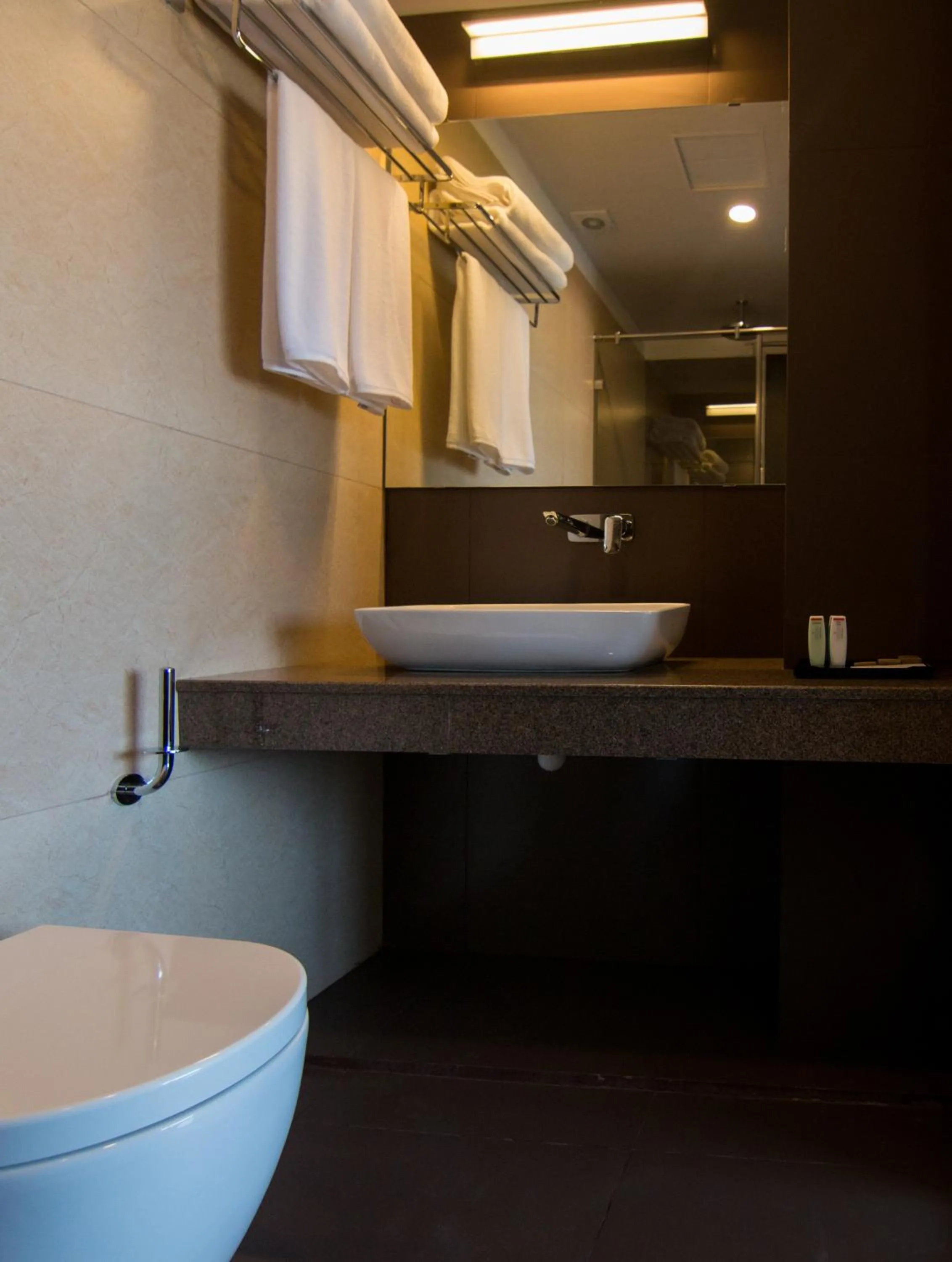 Toilet in Rococo Residence