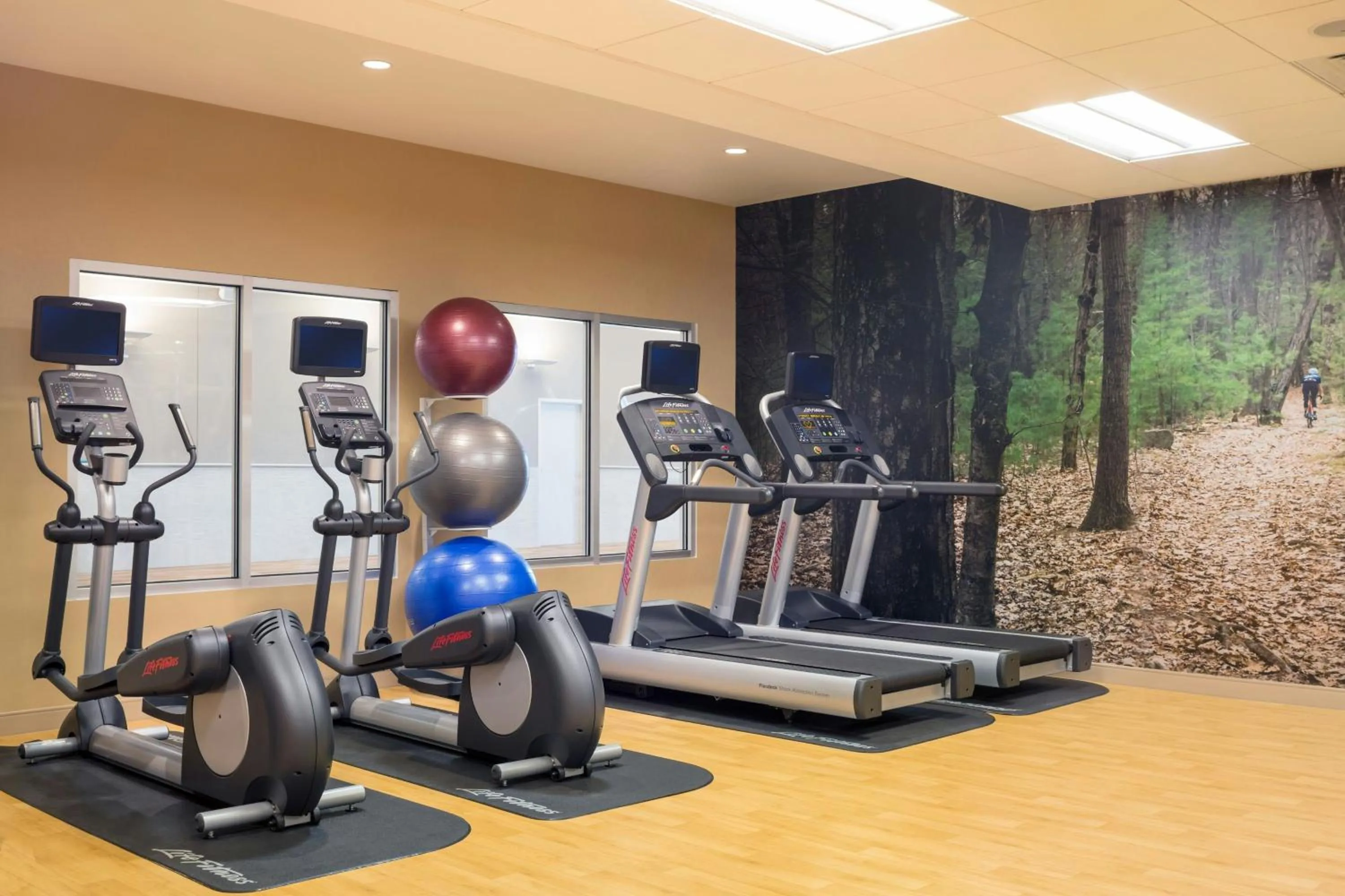 Fitness centre/facilities in Residence Inn by Marriott Boston Burlington