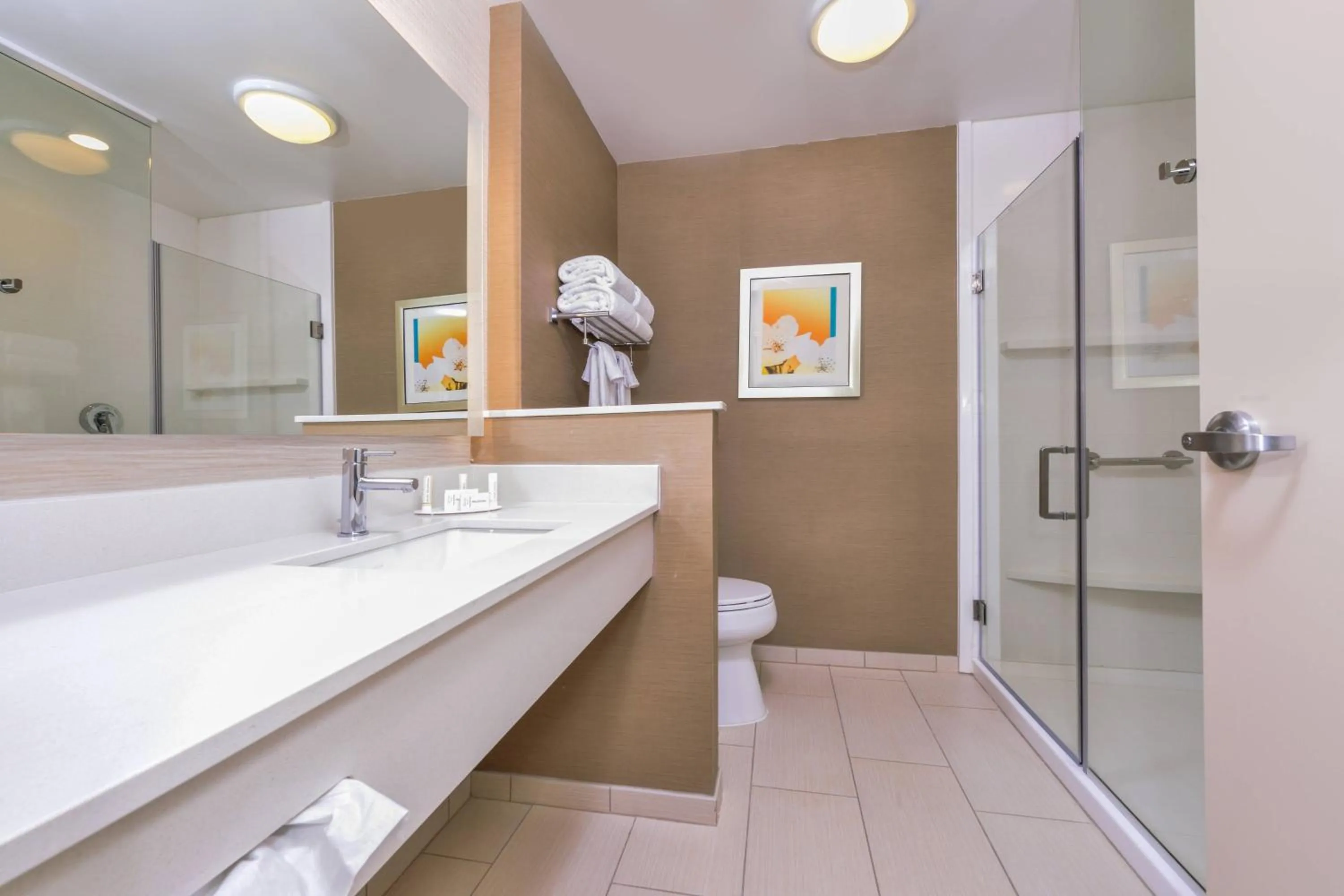 Bathroom in Fairfield Inn & Suites by Marriott Coralville