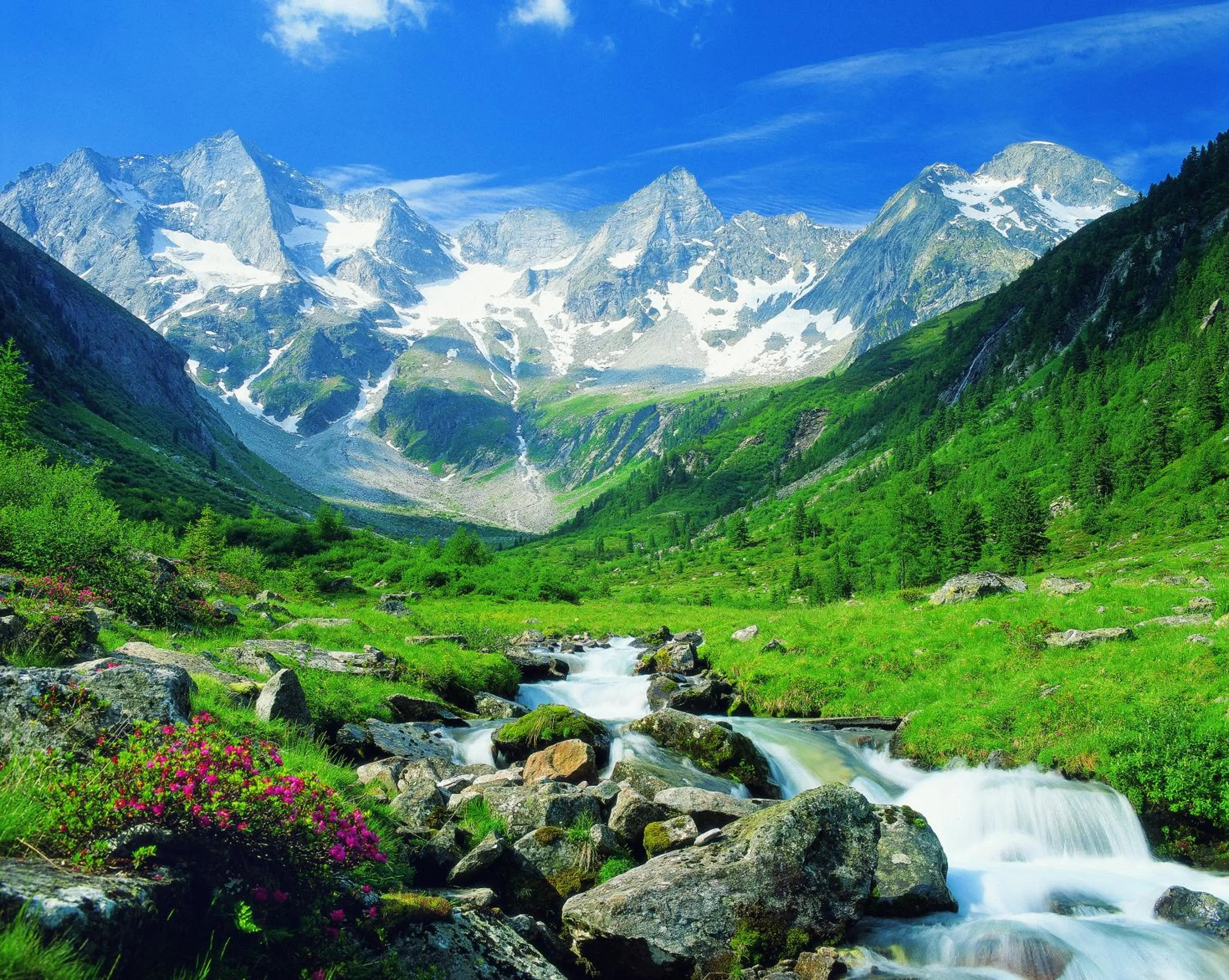 Natural landscape in Hotel Elisabeth