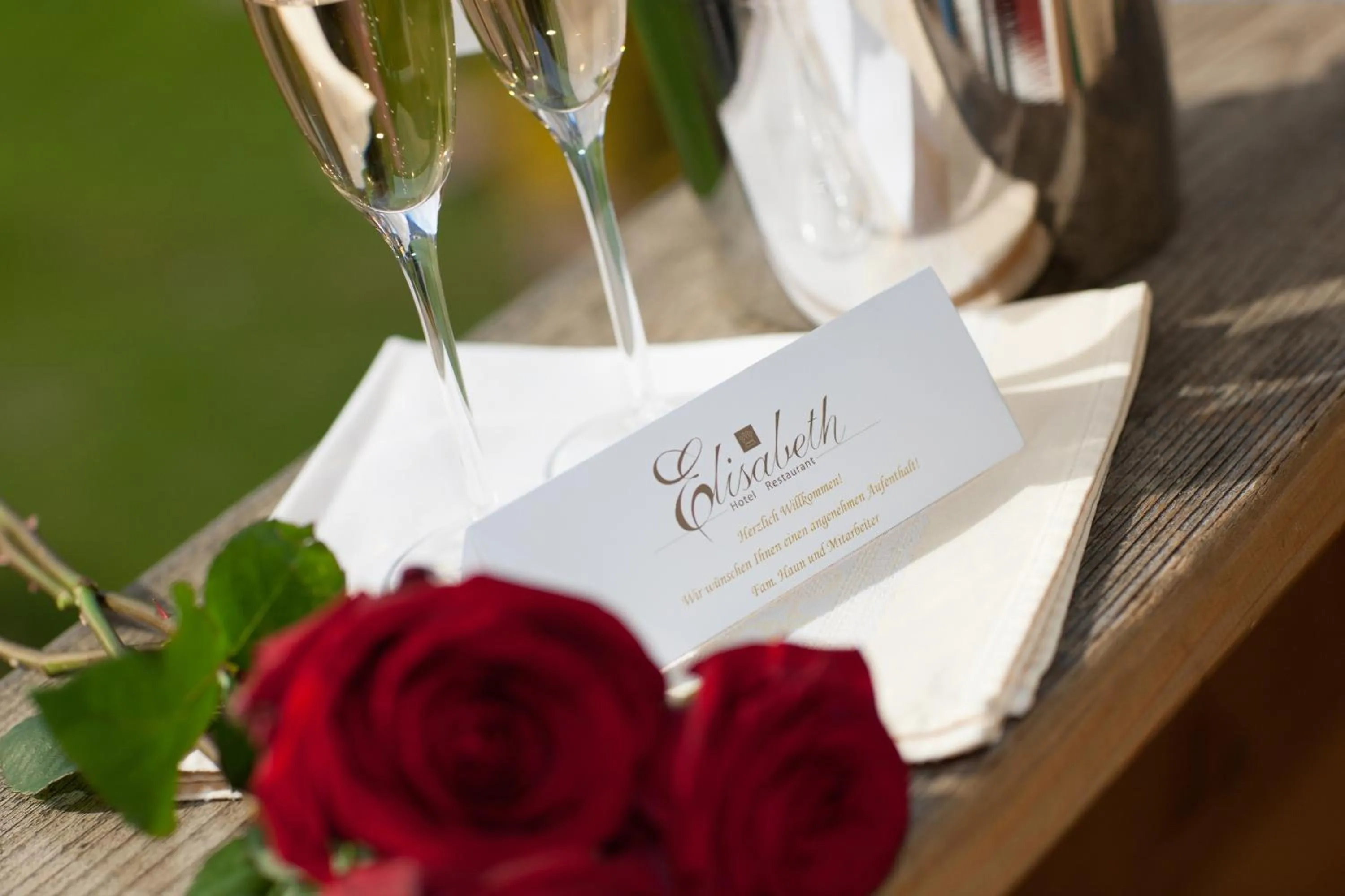 Property logo or sign in Hotel Elisabeth