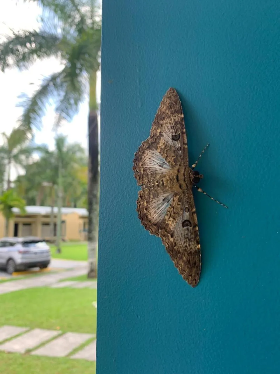 Property building in Hotel Los Rios