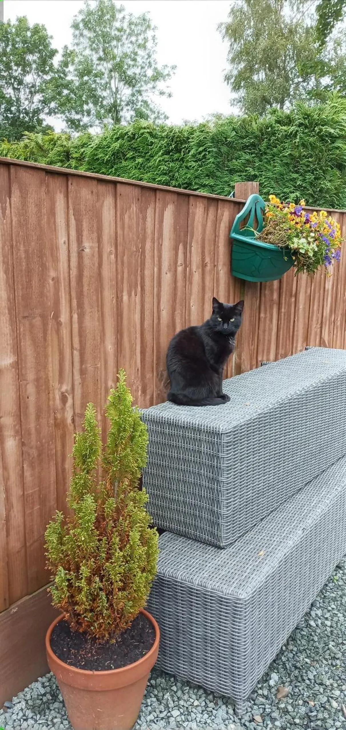 Other in Pant Glas Barn