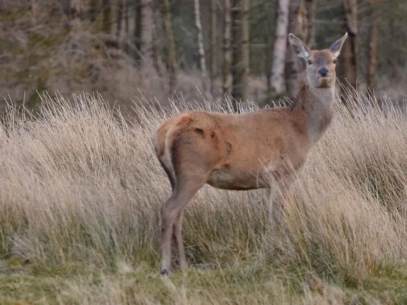 Other in Pant Glas Barn Other in Pant Glas Barn