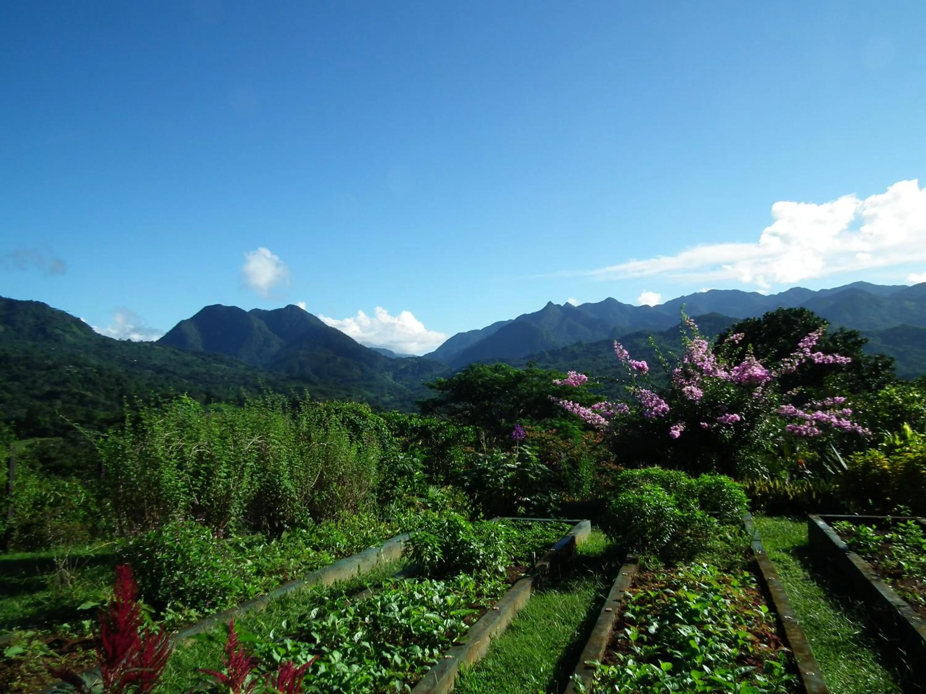 Property building in Hotel Anachoreo