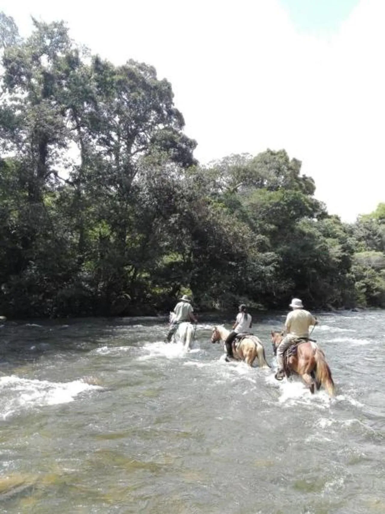 Activities in Hotel Anachoreo