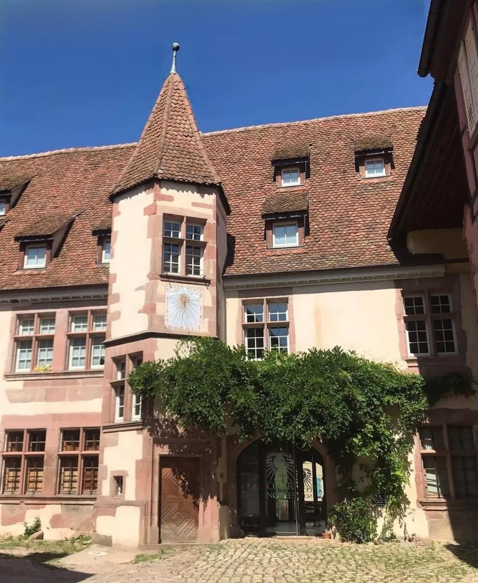 Domaine La Cour Des Nobles - Demeure, Maison et Appartements au coeur de Riquewihr