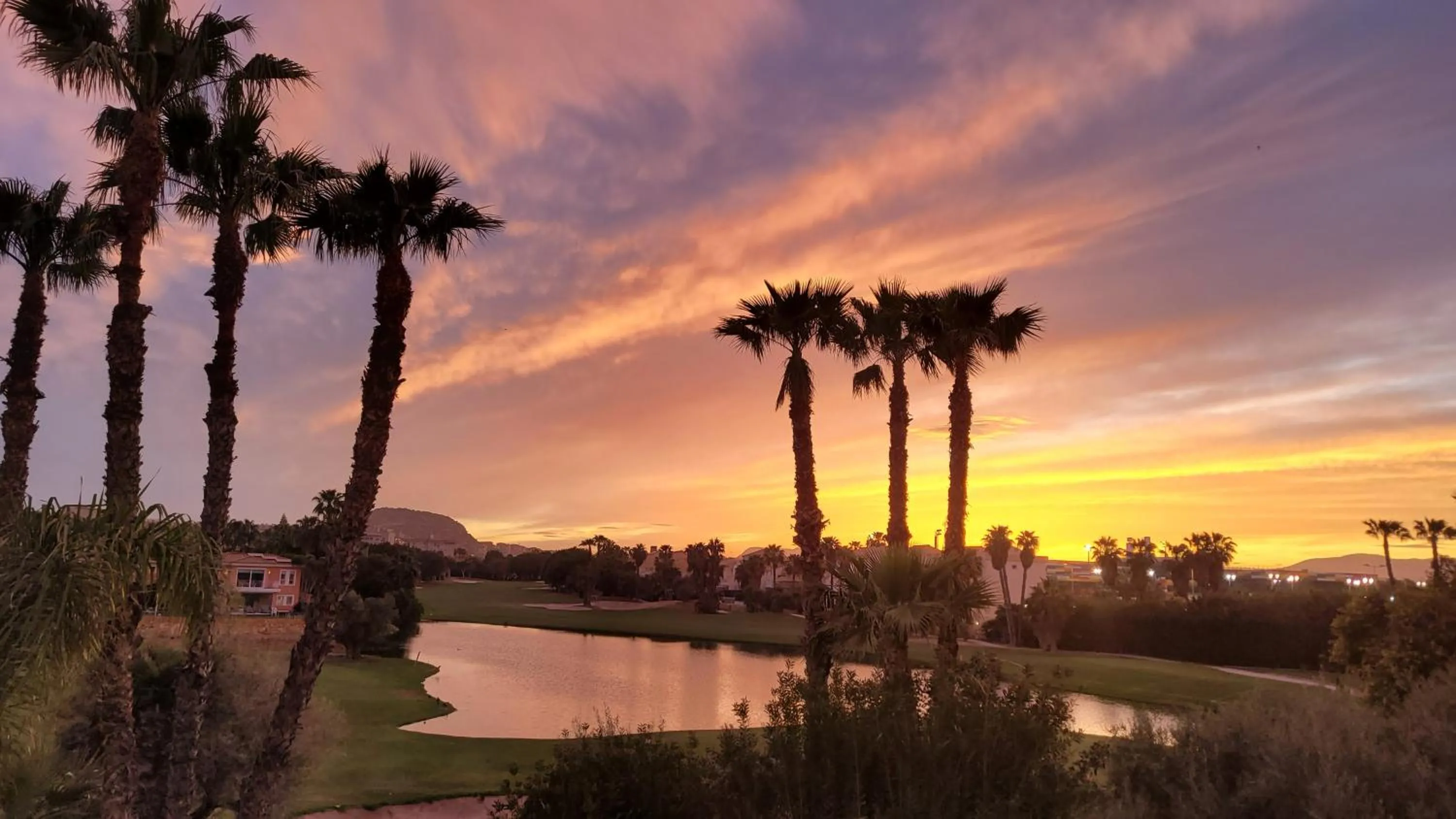 Garden view in Hotel Alicante Golf