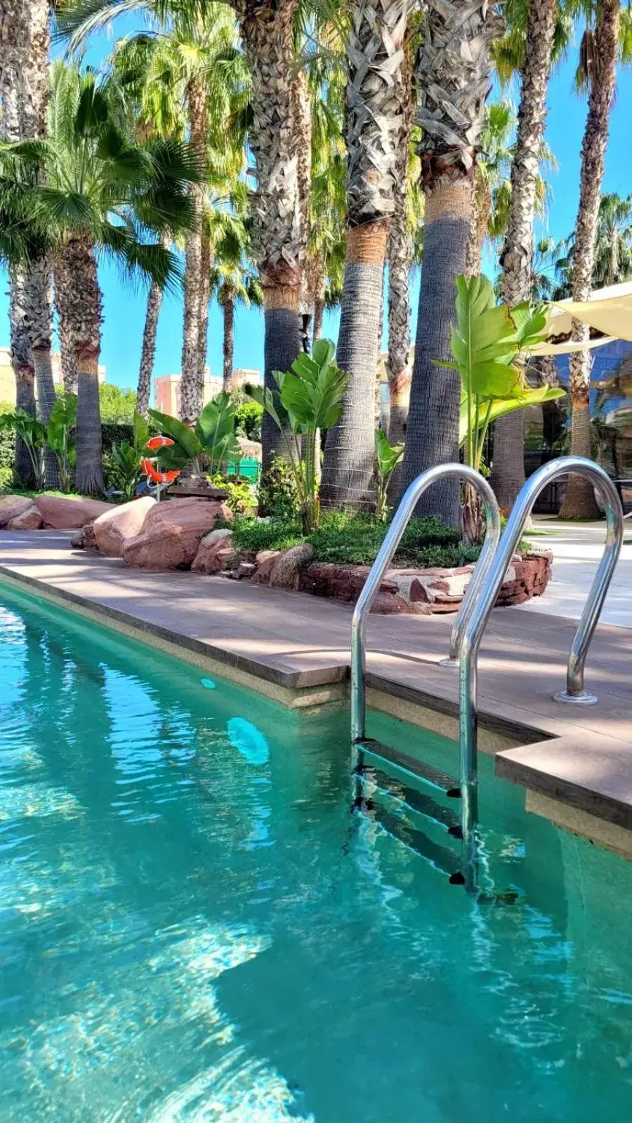 Swimming pool in Hotel Alicante Golf Swimming pool in Hotel Alicante Golf