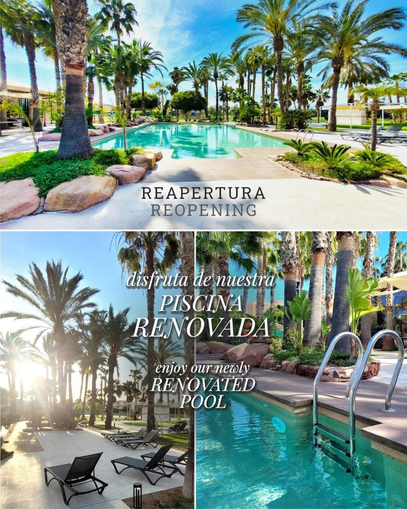 Swimming pool in Hotel Alicante Golf