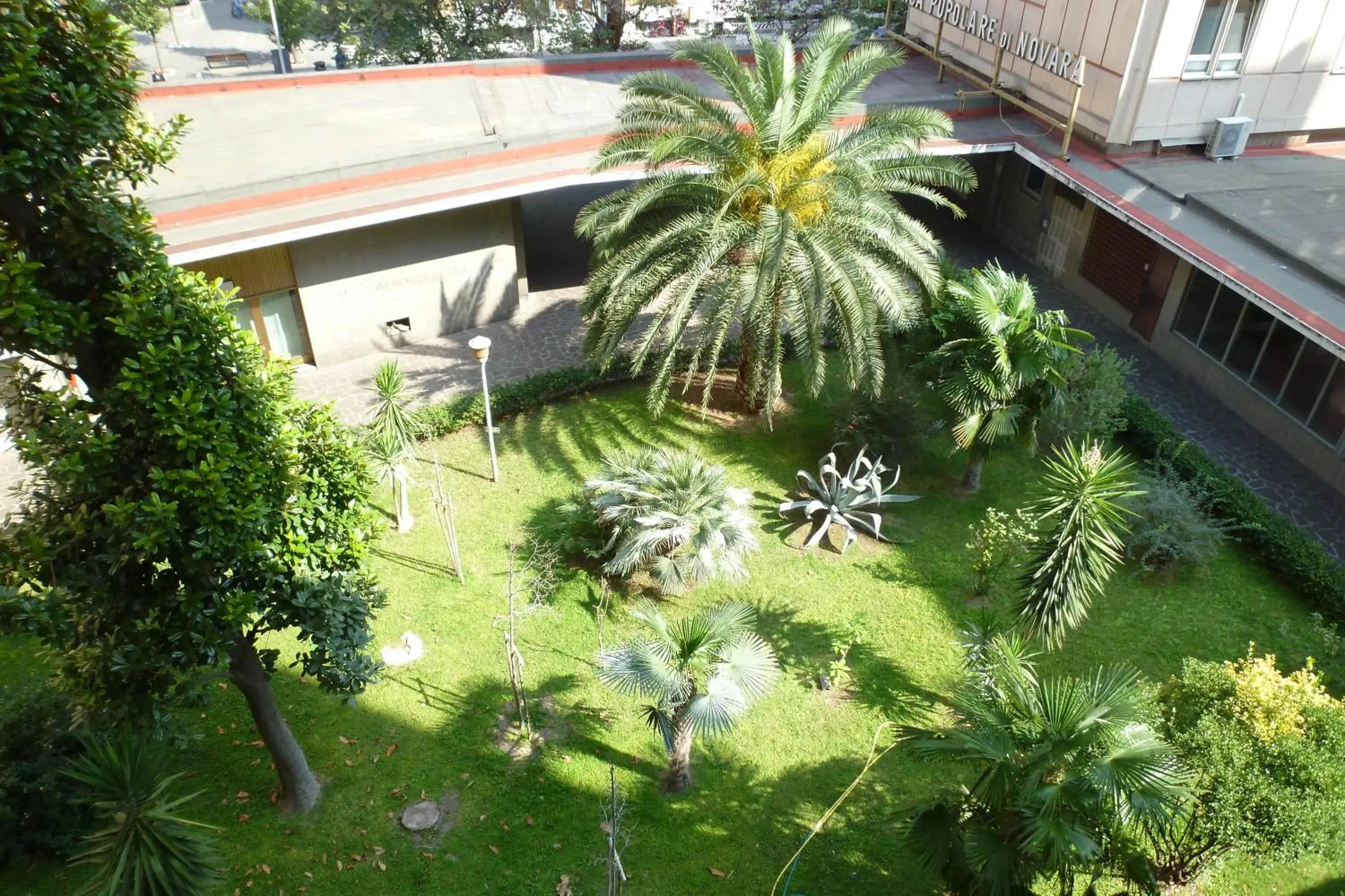 King Room with Garden View in Viola Accommodation King Room with Garden View in Viola Accommodation