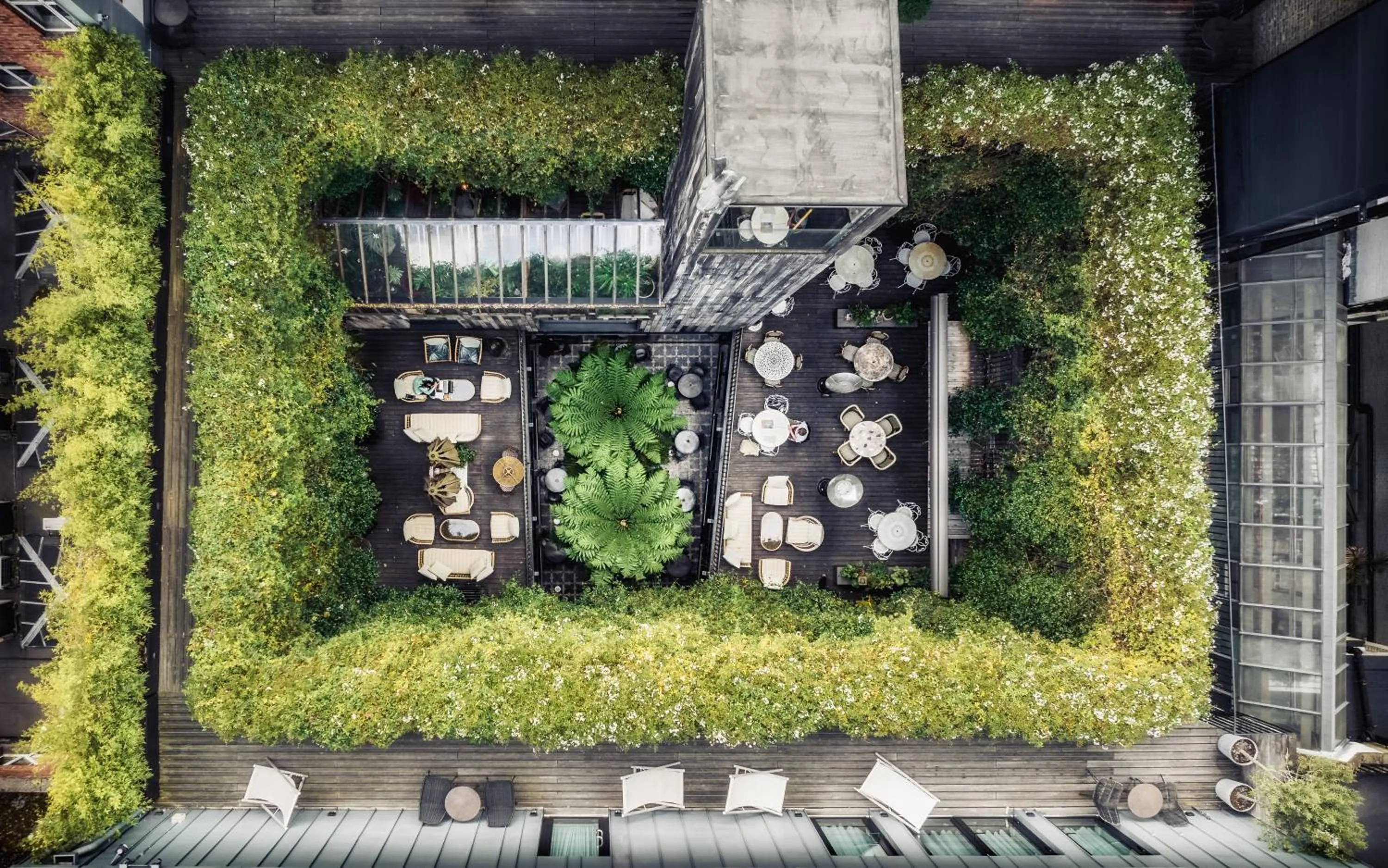 Garden in The Mandrake