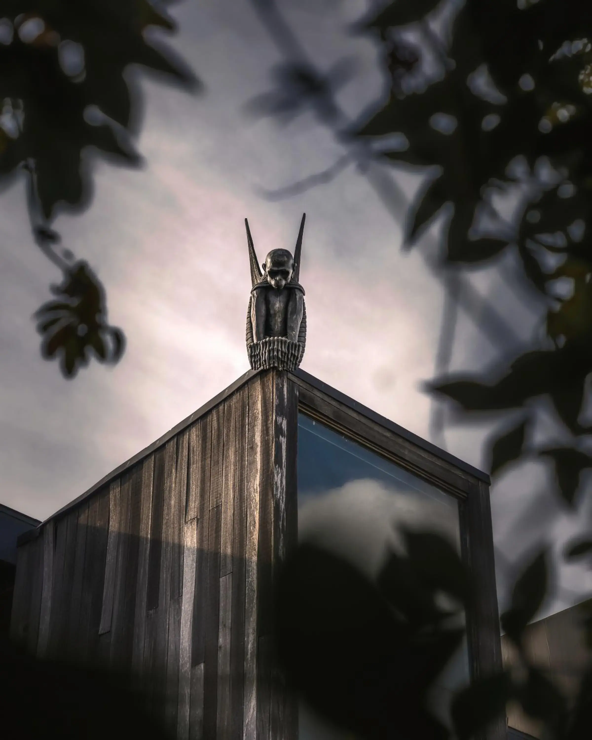 Garden view in The Mandrake Garden view in The Mandrake