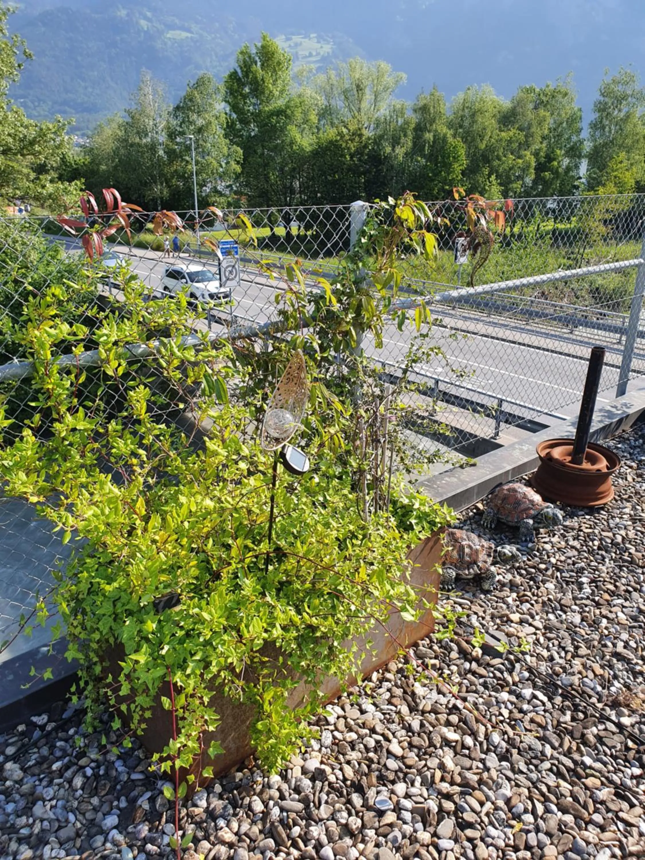 Natural landscape in BnB Haus Weibel