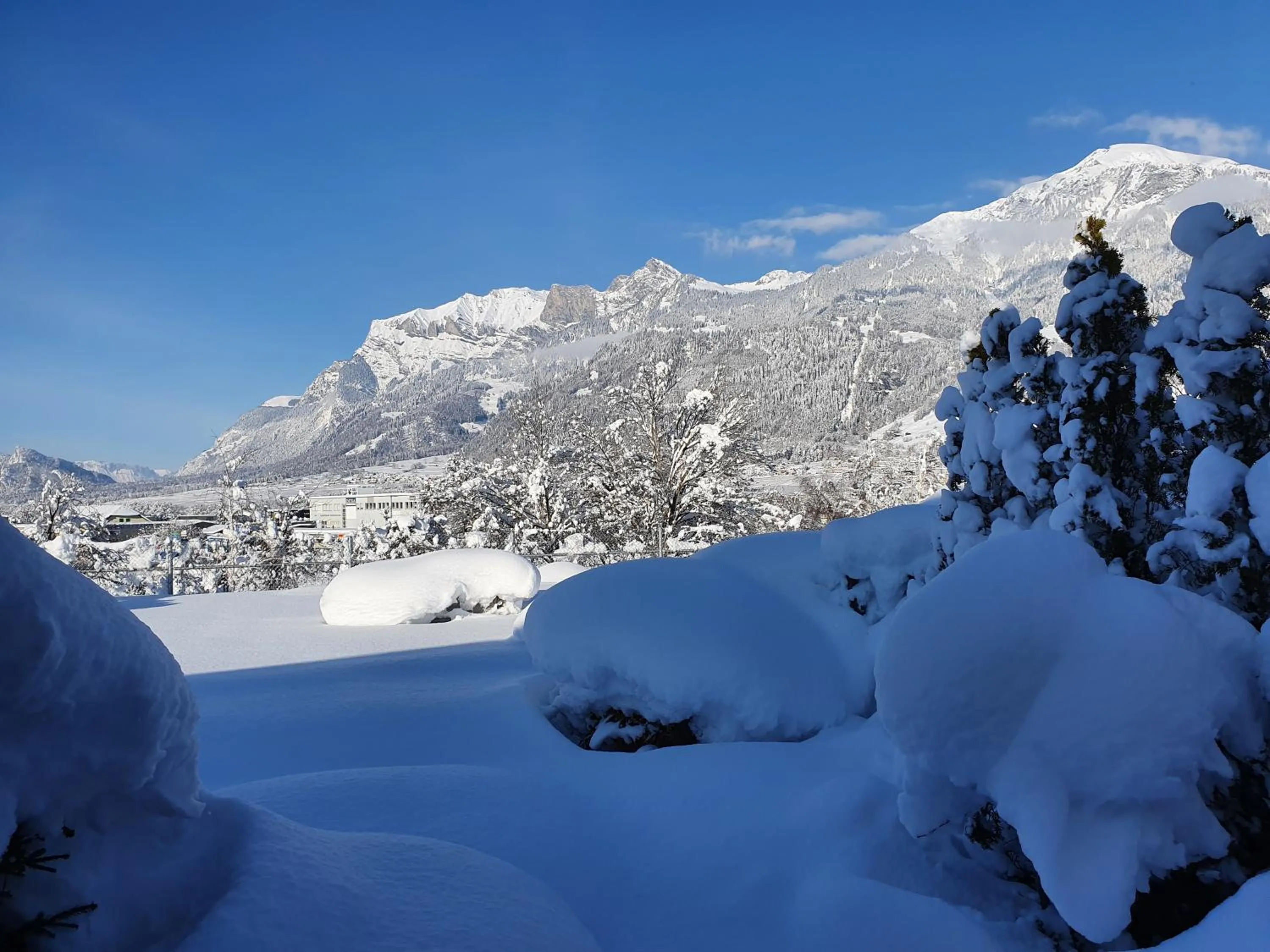 Natural landscape in BnB Haus Weibel