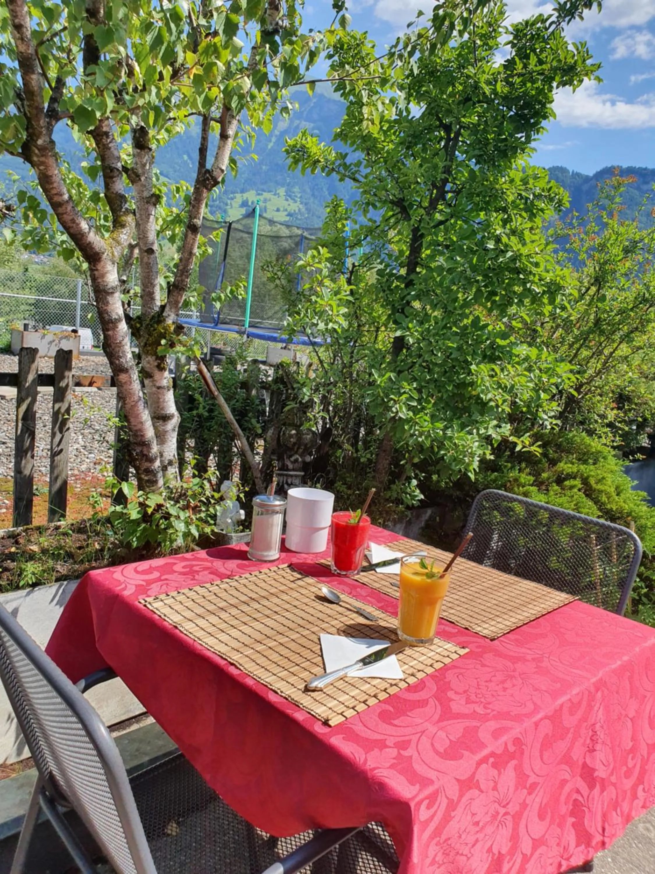 Balcony/Terrace in BnB Haus Weibel