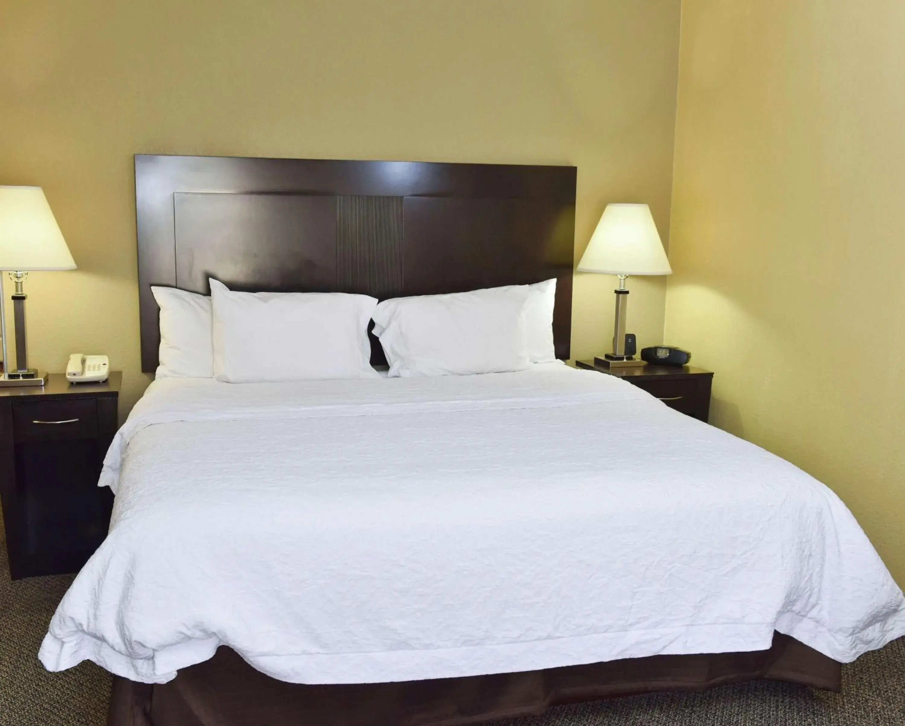 King Room with Sofa Bed and Study - Non-Smoking in Hampton Inn & Suites Alexandria King Room with Sofa Bed and Study - Non-Smoking in Hampton Inn & Suites Alexandria