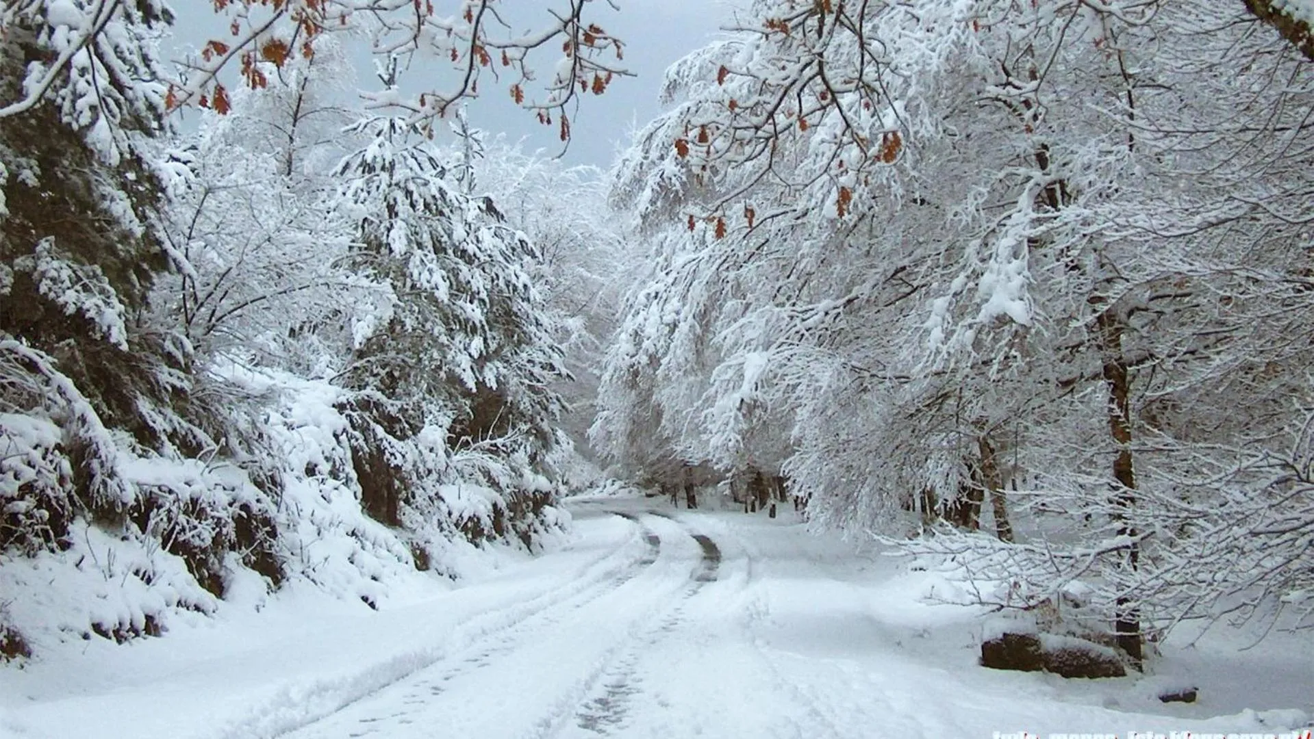 Natural landscape in Agrinho Suites & Spa Gerês