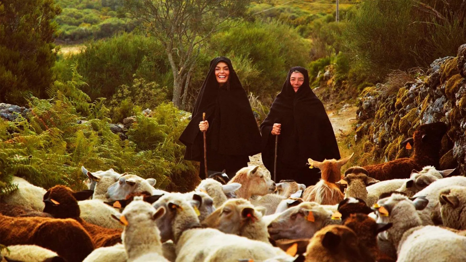 Area and facilities in Agrinho Suites & Spa Gerês