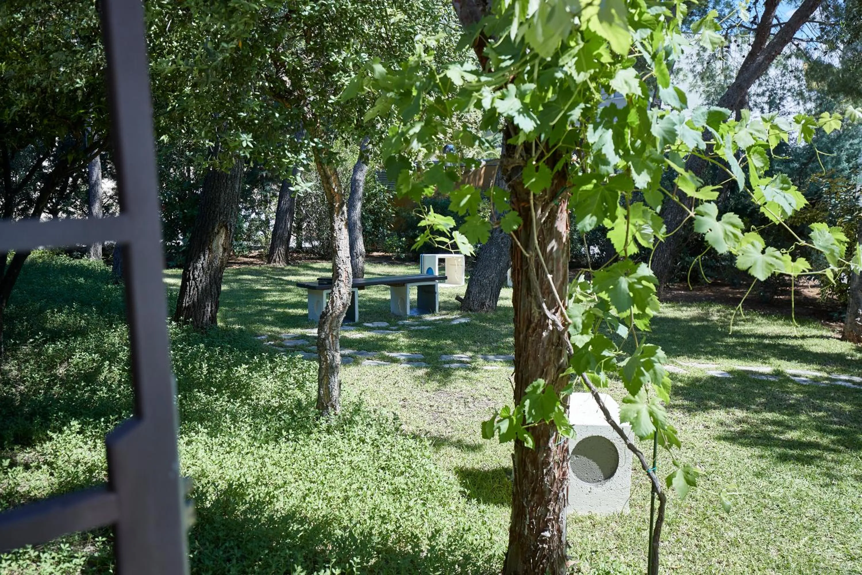 Garden view in Borgo San Gaetano