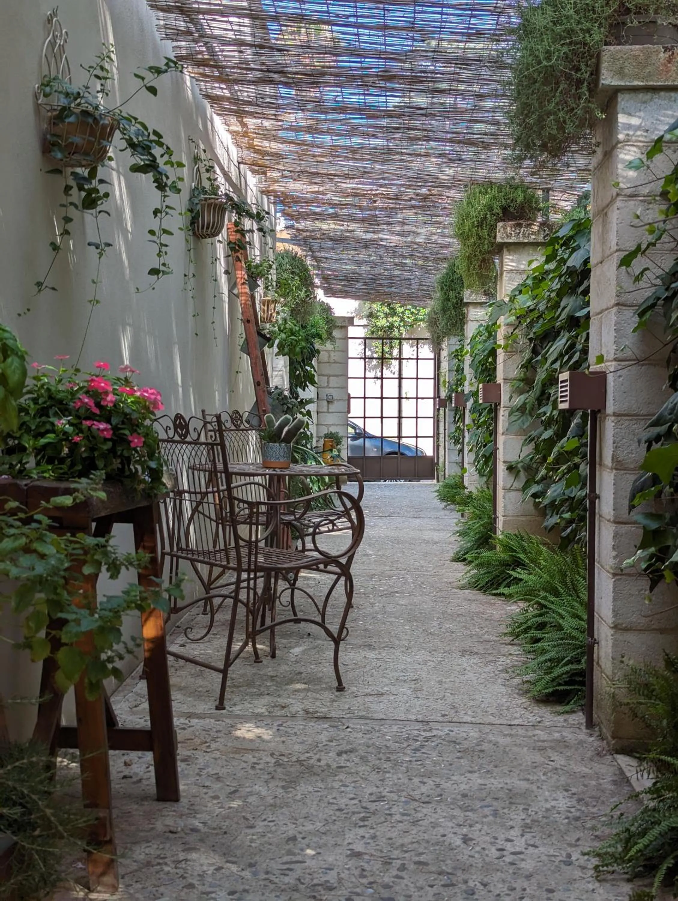 Garden in Borgo San Gaetano