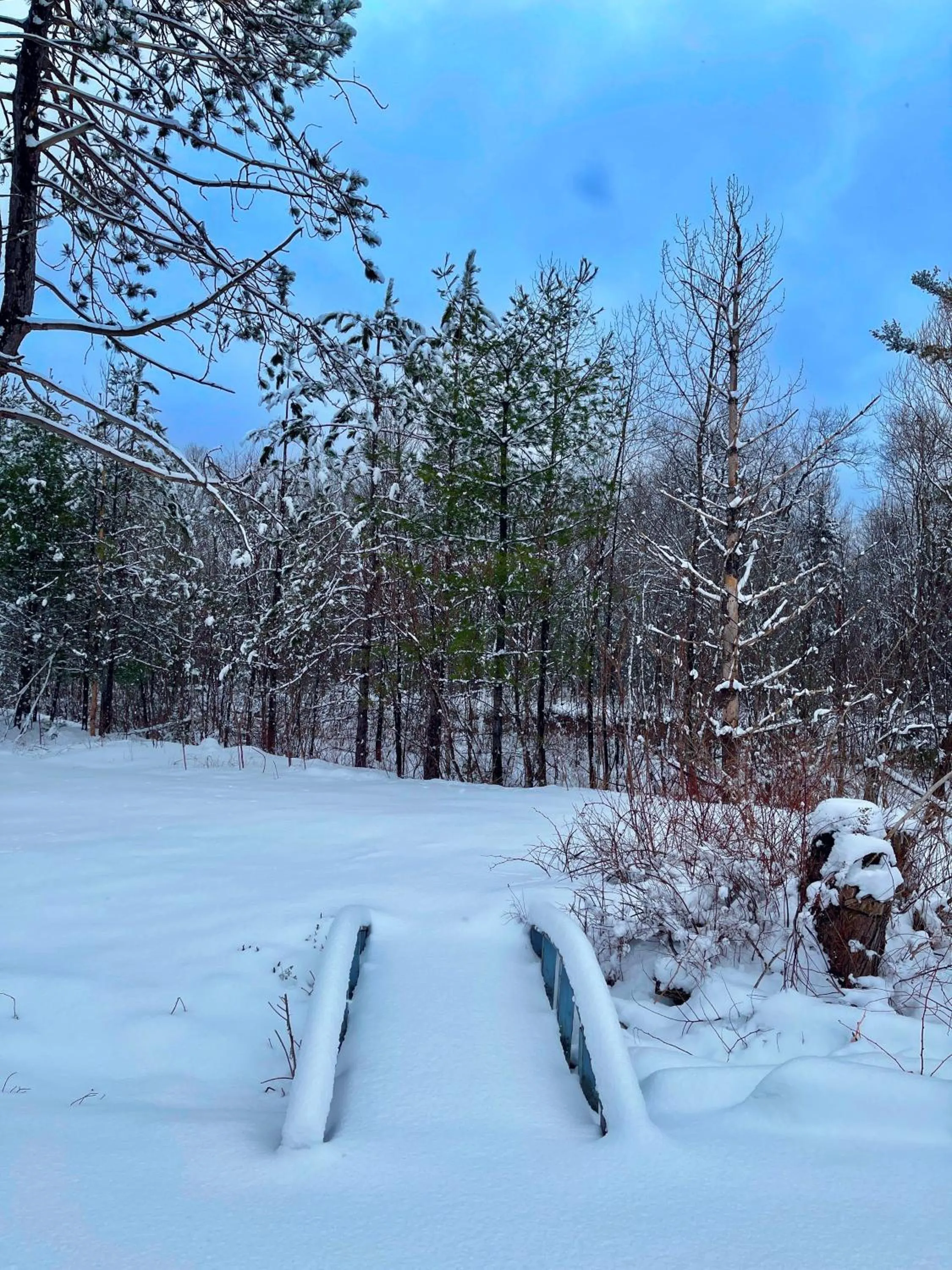 Winter in Stonybrook Motel & Lodge