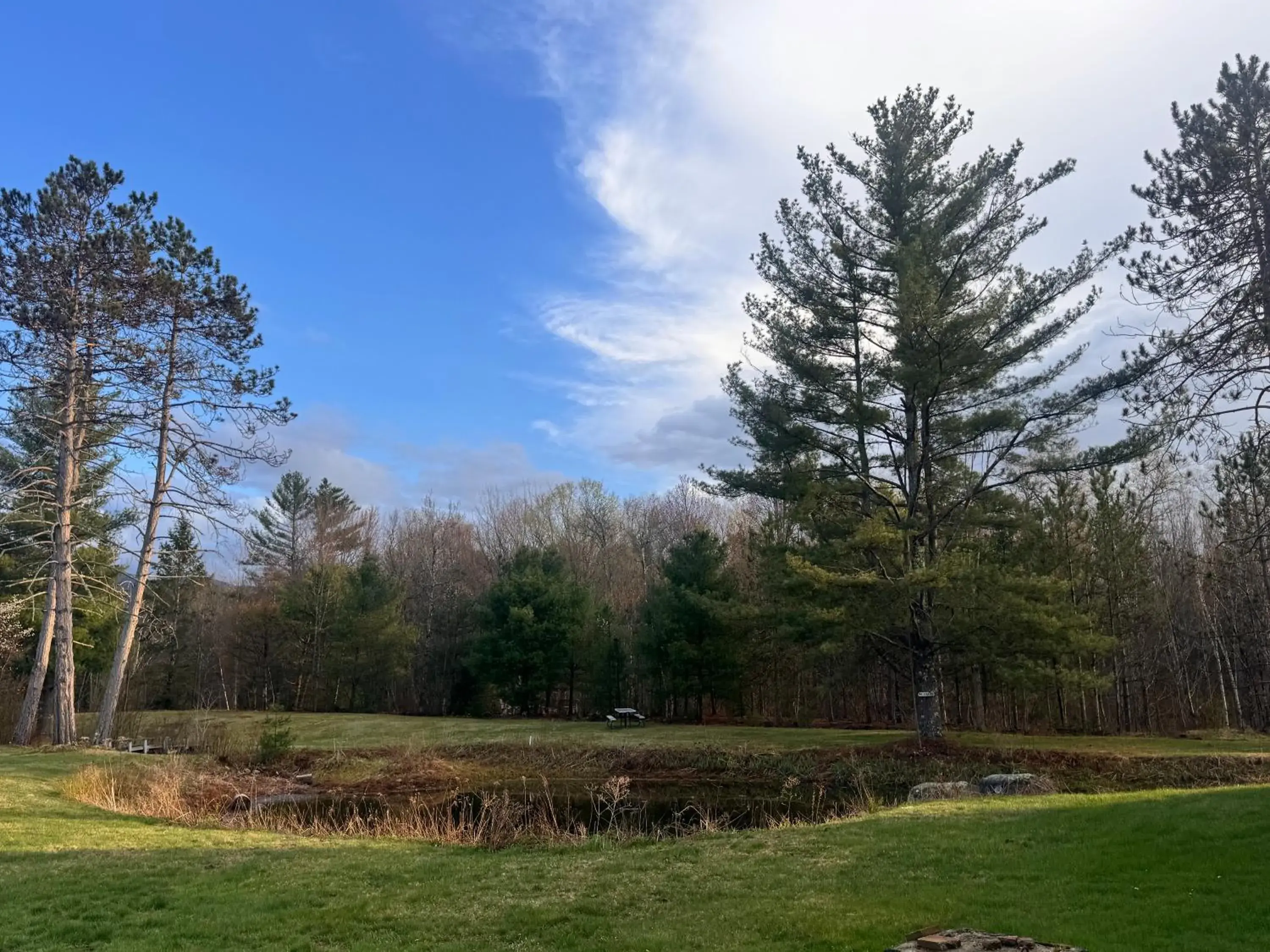 Garden view in Stonybrook Motel & Lodge Garden view in Stonybrook Motel & Lodge