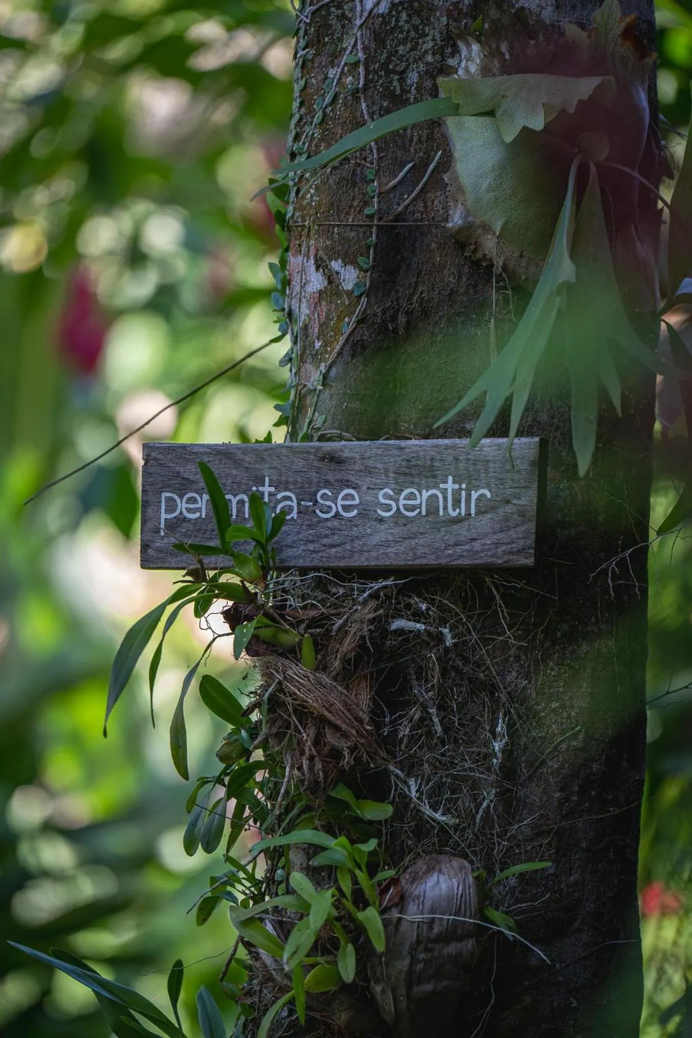Garden in Pousada do Bosque