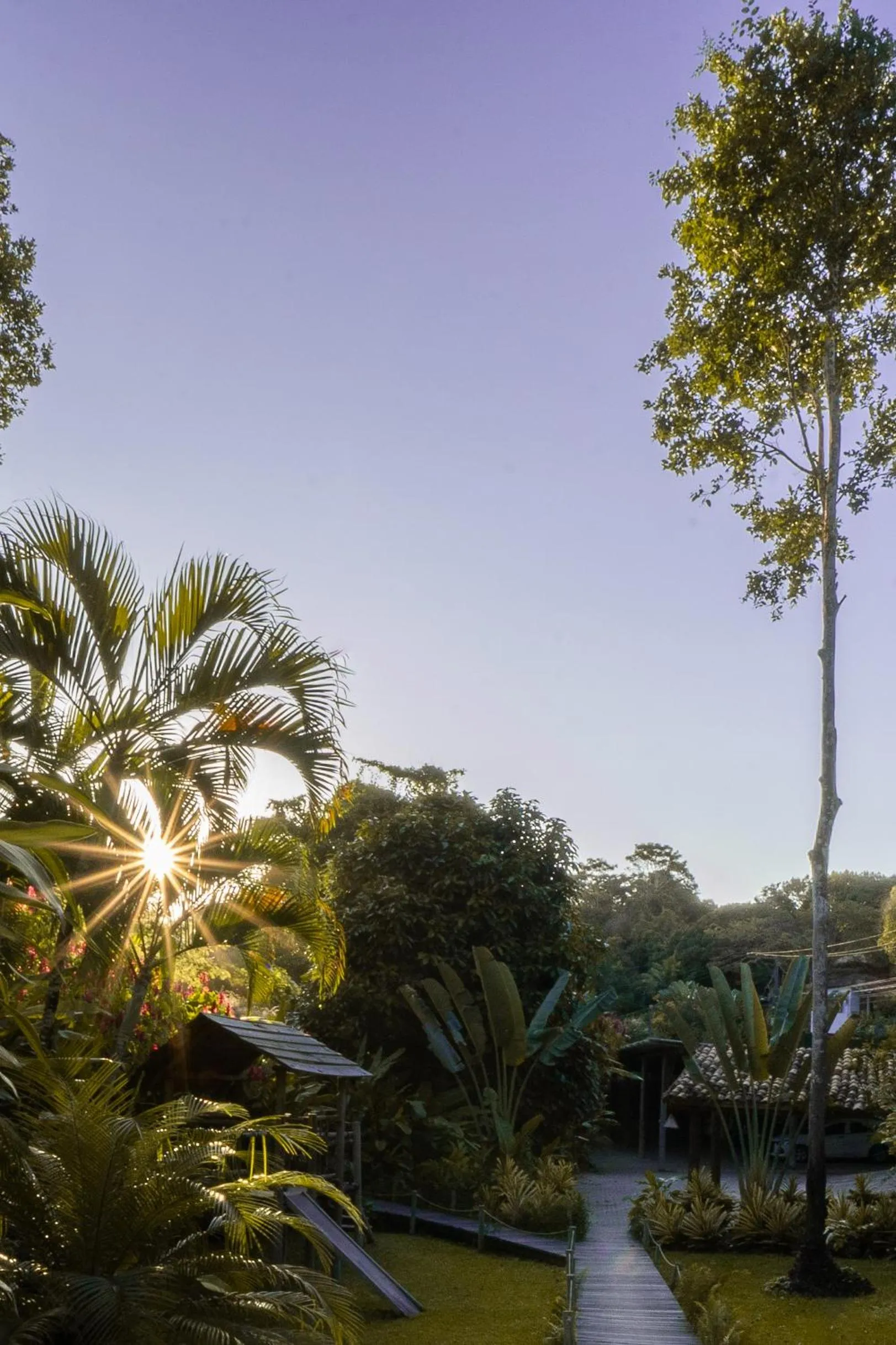 Garden in Pousada do Bosque