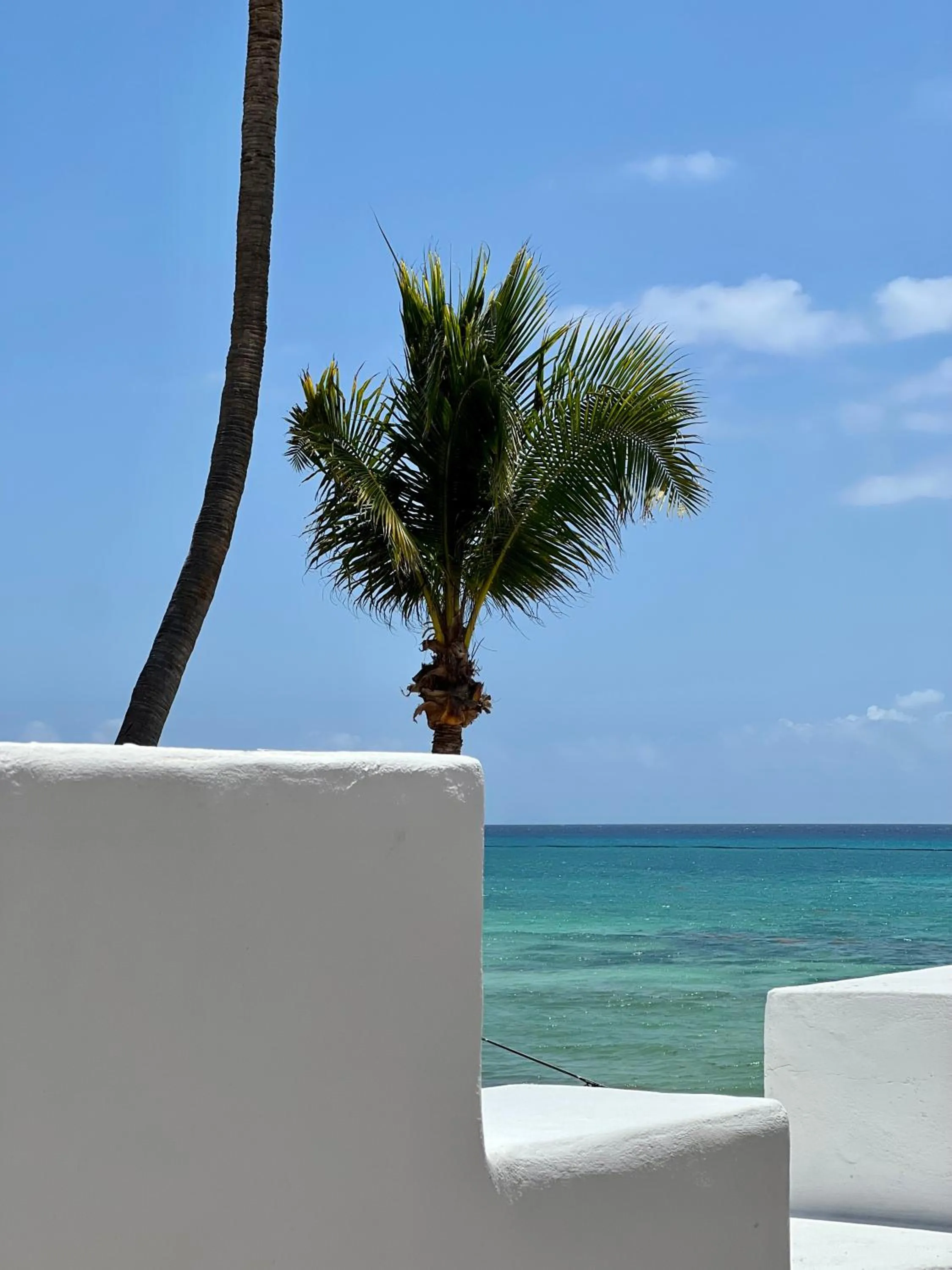 Day in Pelicano Inn Playa del Carmen - Beachfront Hotel