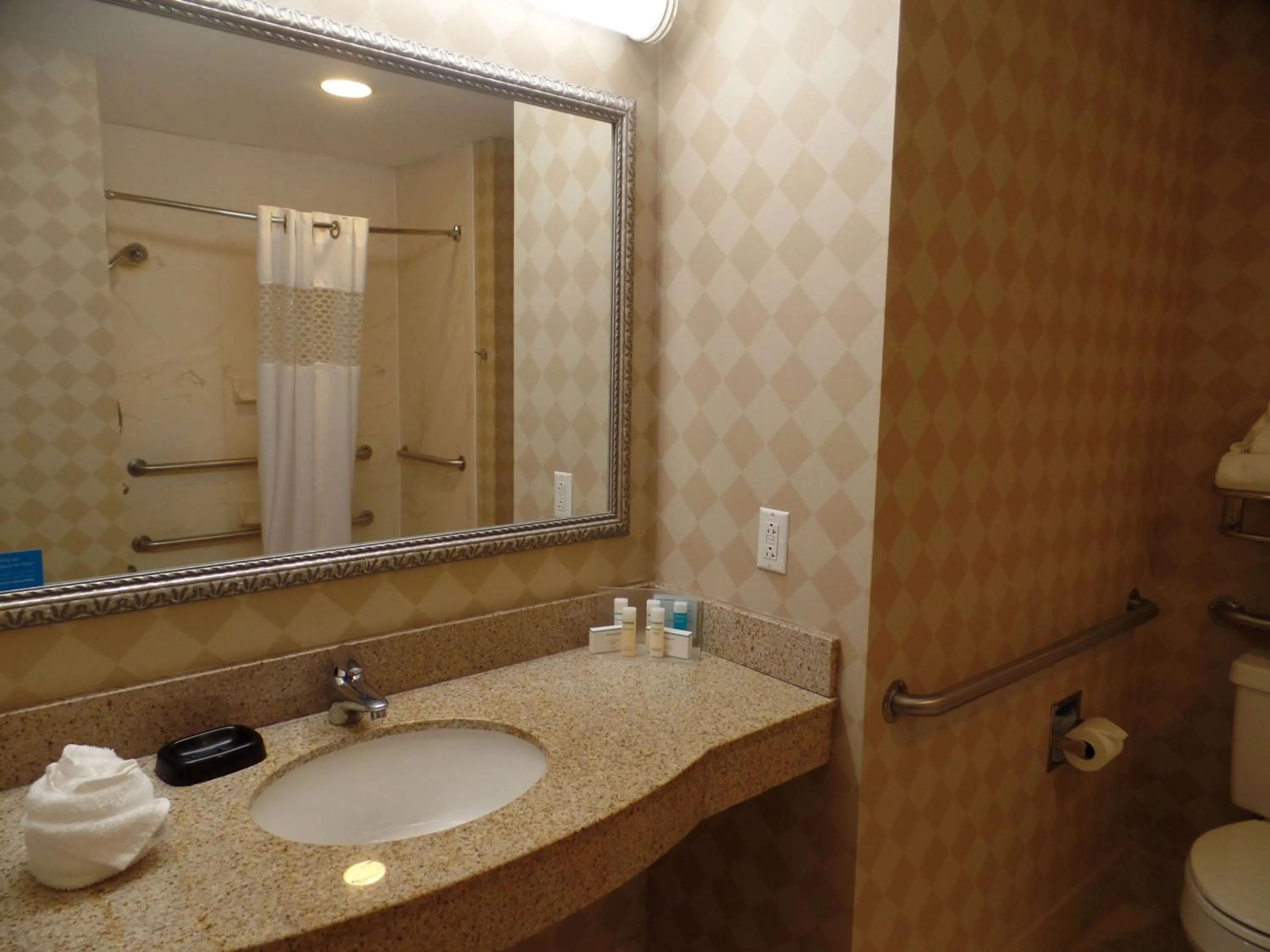 Bathroom in Hampton Inn Bowling Green