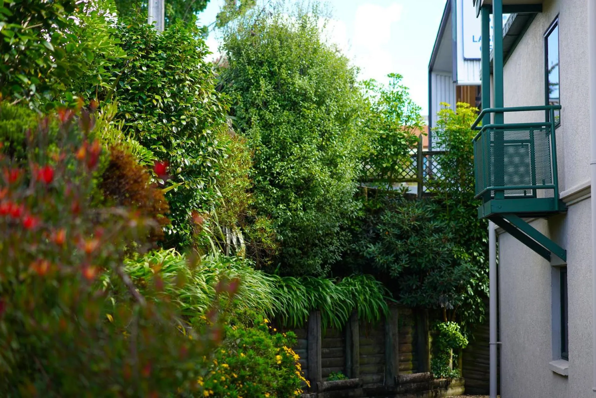 Day in Ashwood Manor Motor Lodge