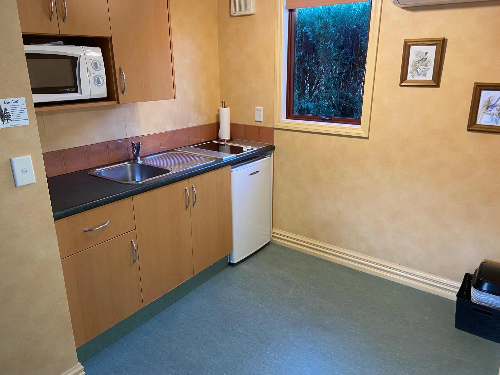 Kitchen or kitchenette in Red Tussock Motel