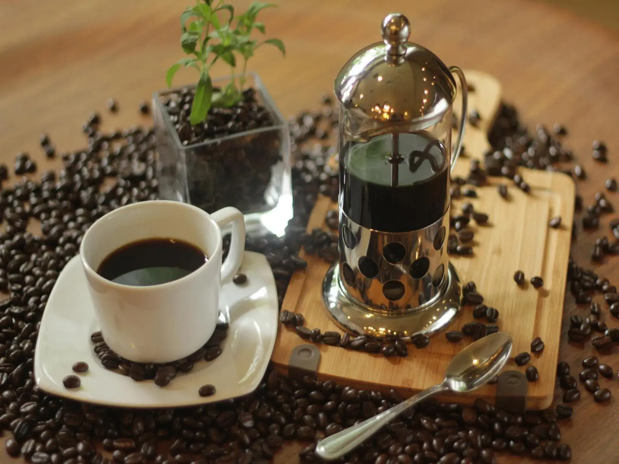 Food in Parque España Residence Hotel Food in Parque España Residence Hotel