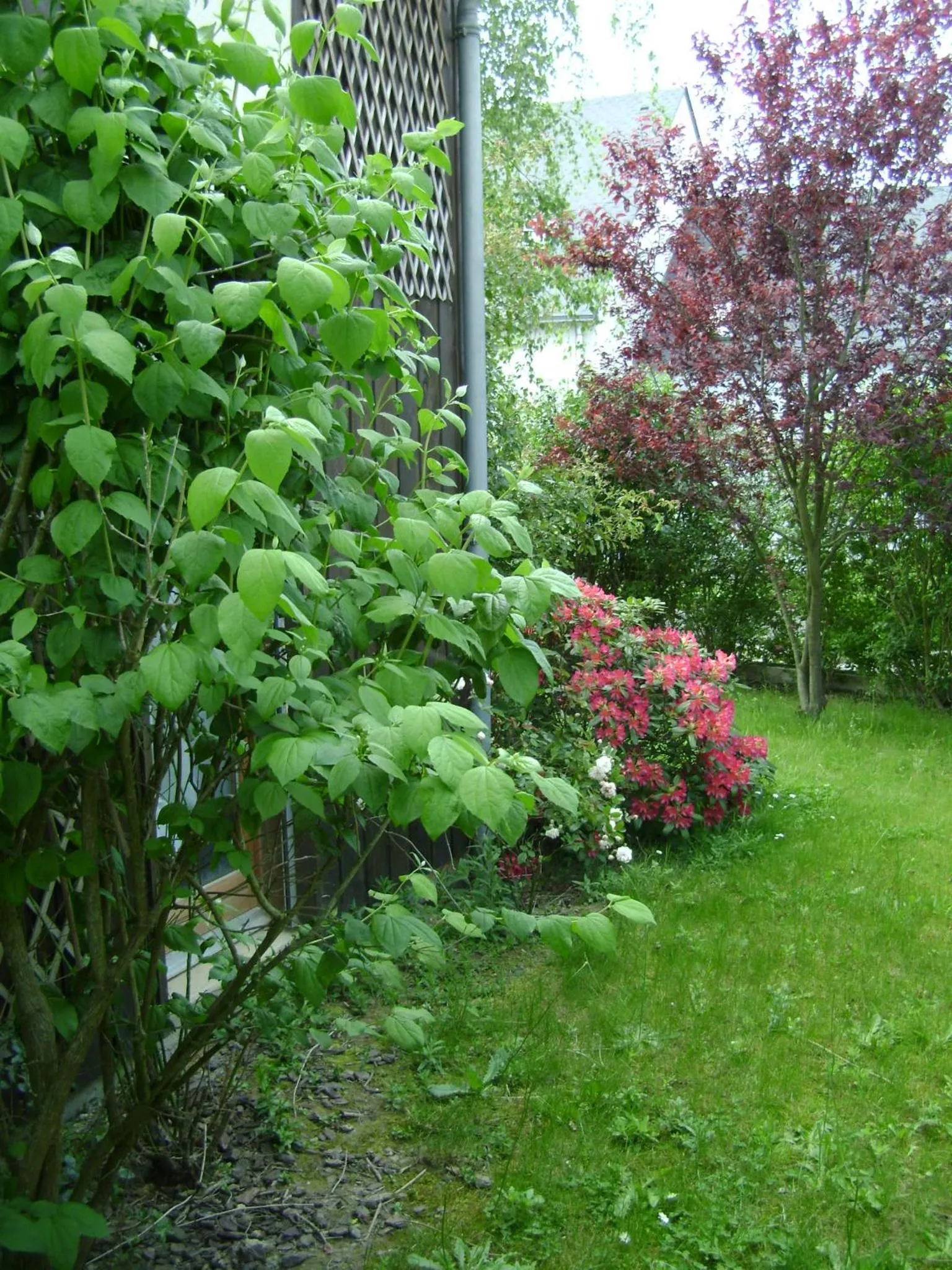 Garden in Maison La Chapelle