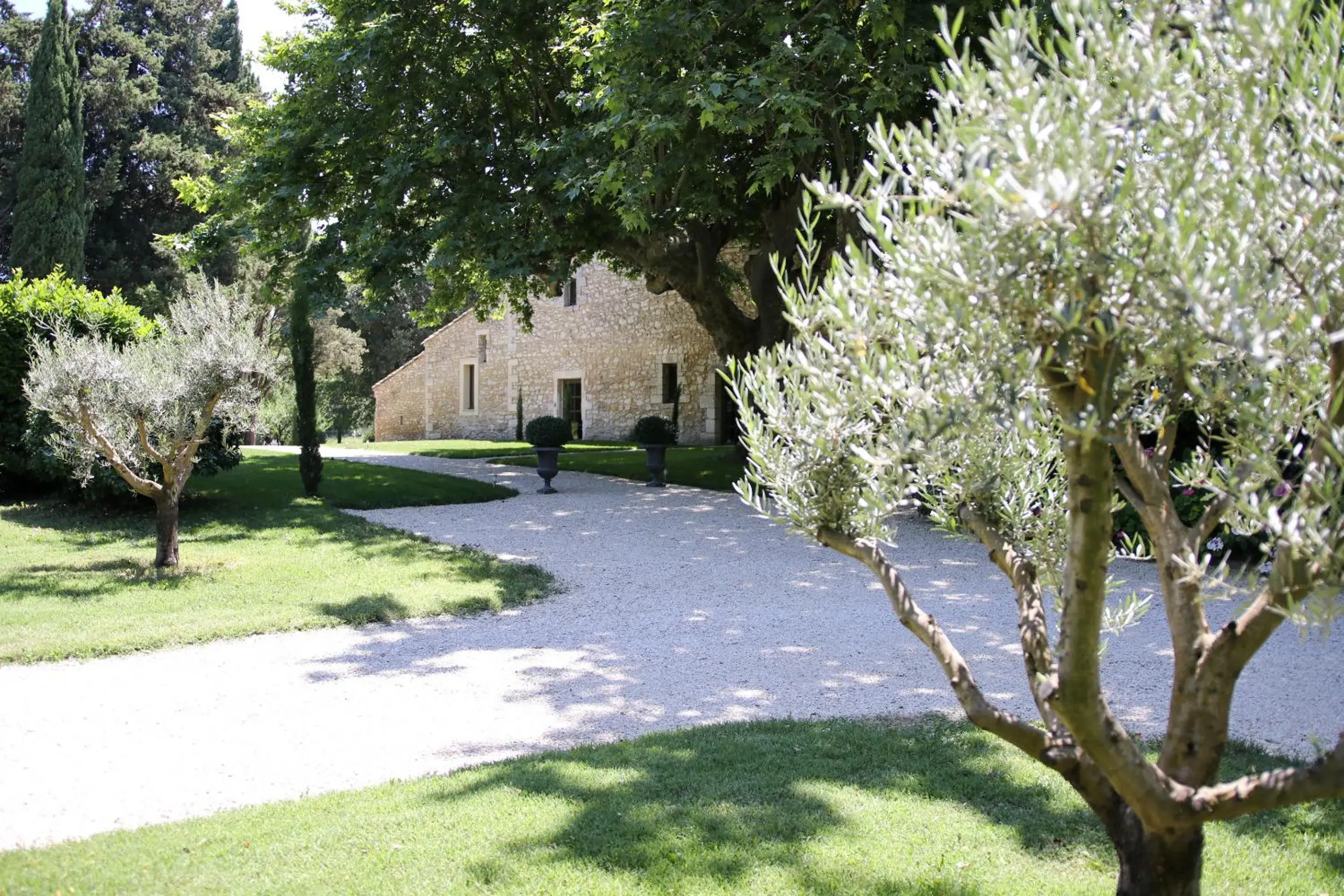 Mas Château Blanc Mas Château Blanc