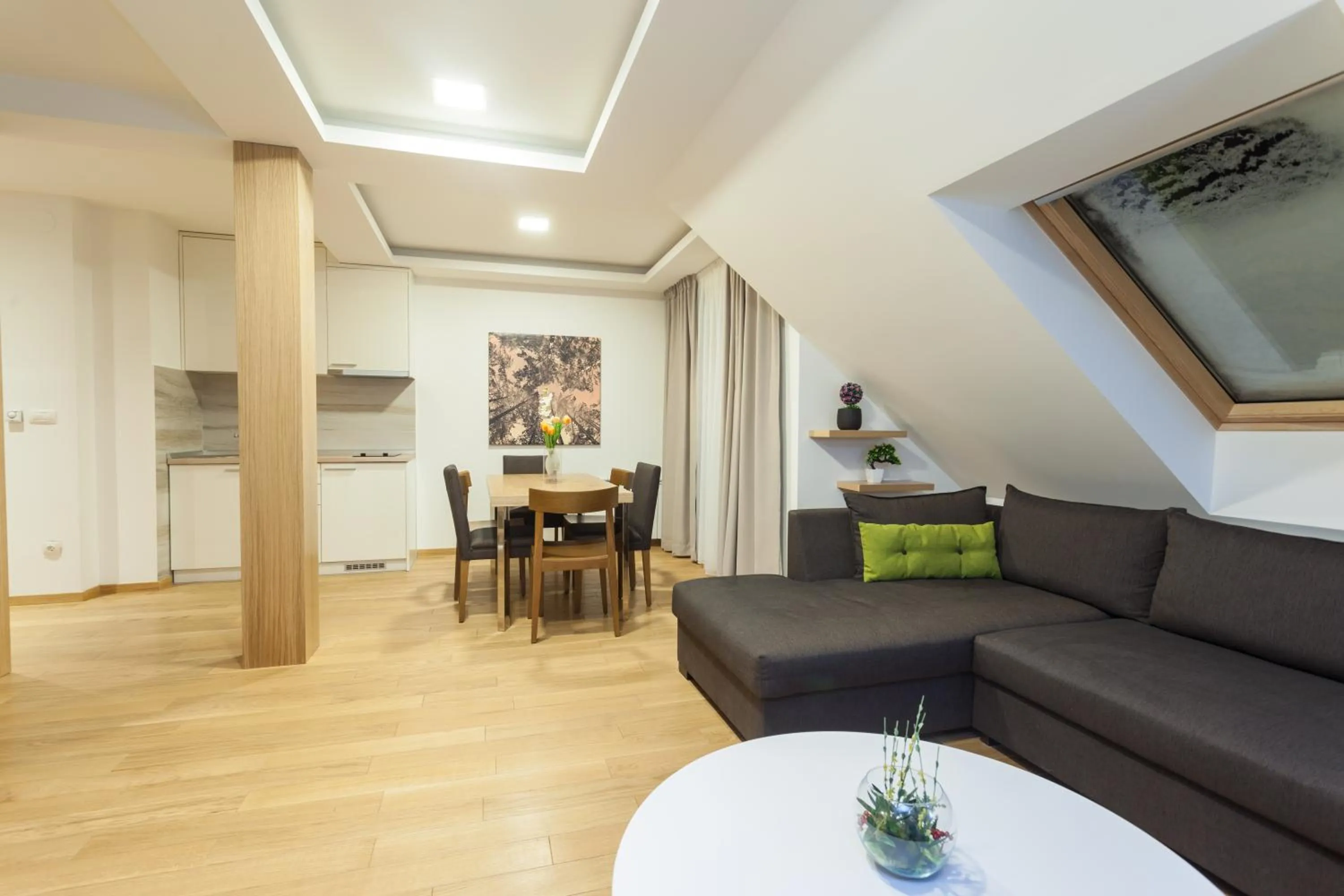 Kitchen or kitchenette in Vila Apartments Wellness&Spa