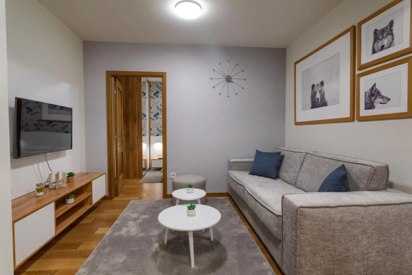 TV and multimedia in Vila Apartments Wellness&Spa