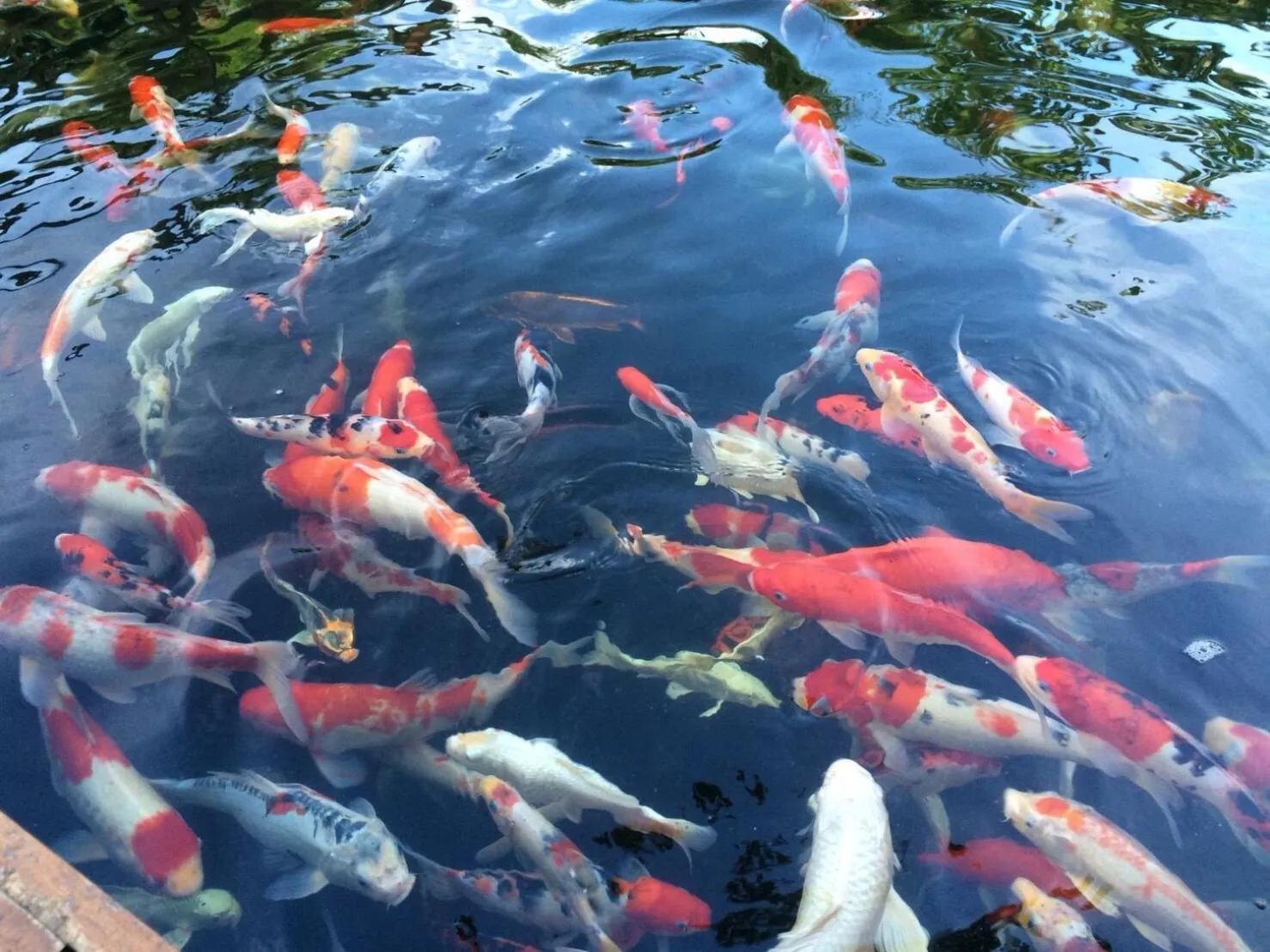 บ้านกรนรา Baan Kornnara